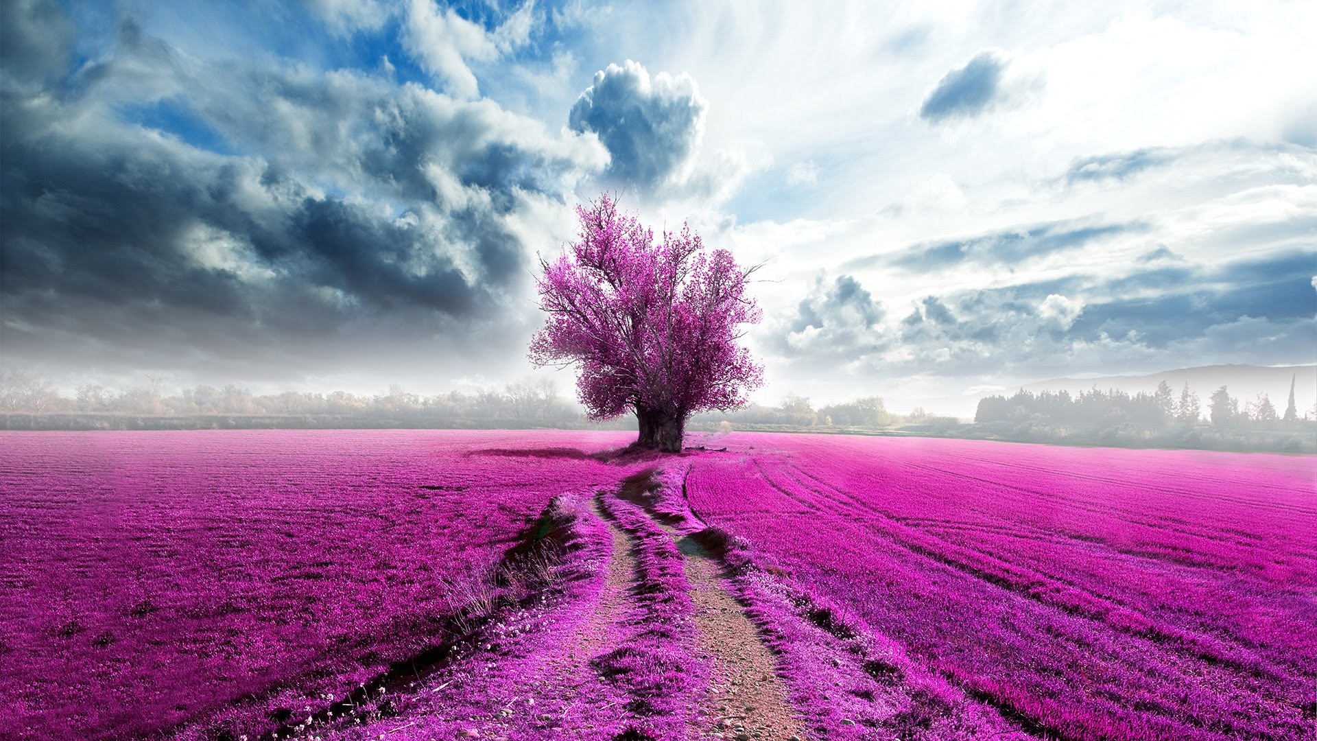Free photo Wallpaper with a pink tree and a field