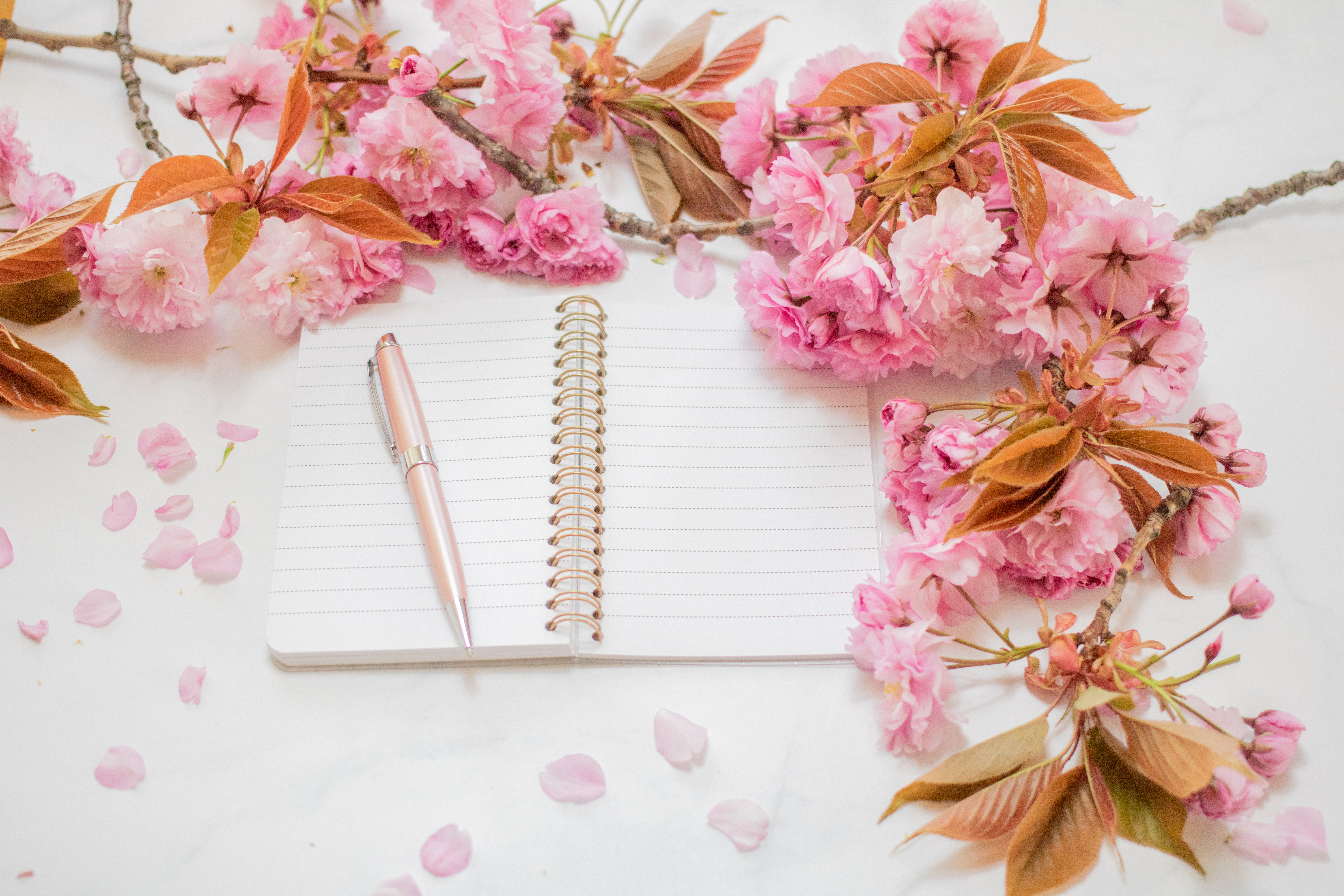 桌面上的壁纸平砌 笔记本电脑 鲜花