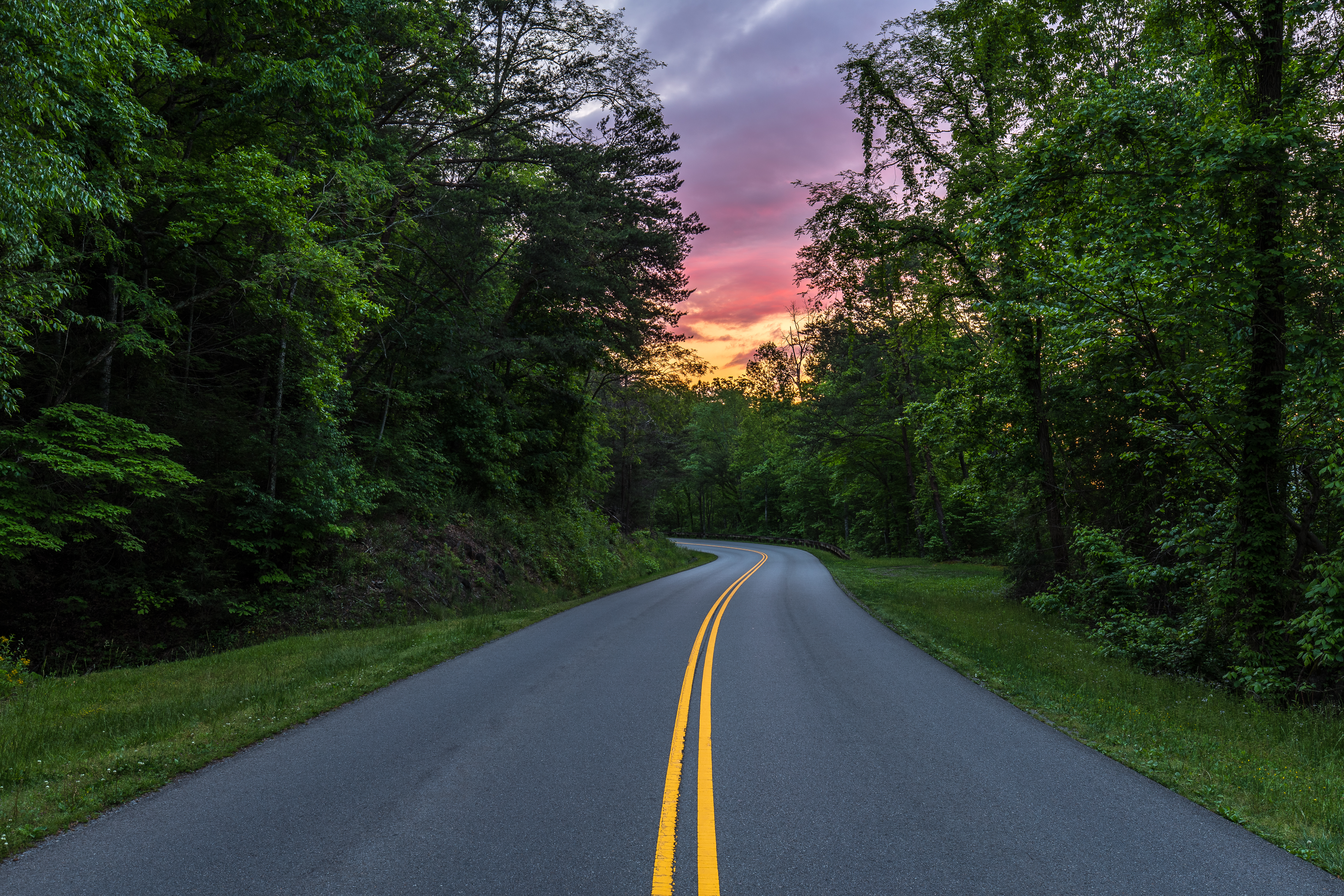 Wallpapers Great Smoky National Park road forest on the desktop