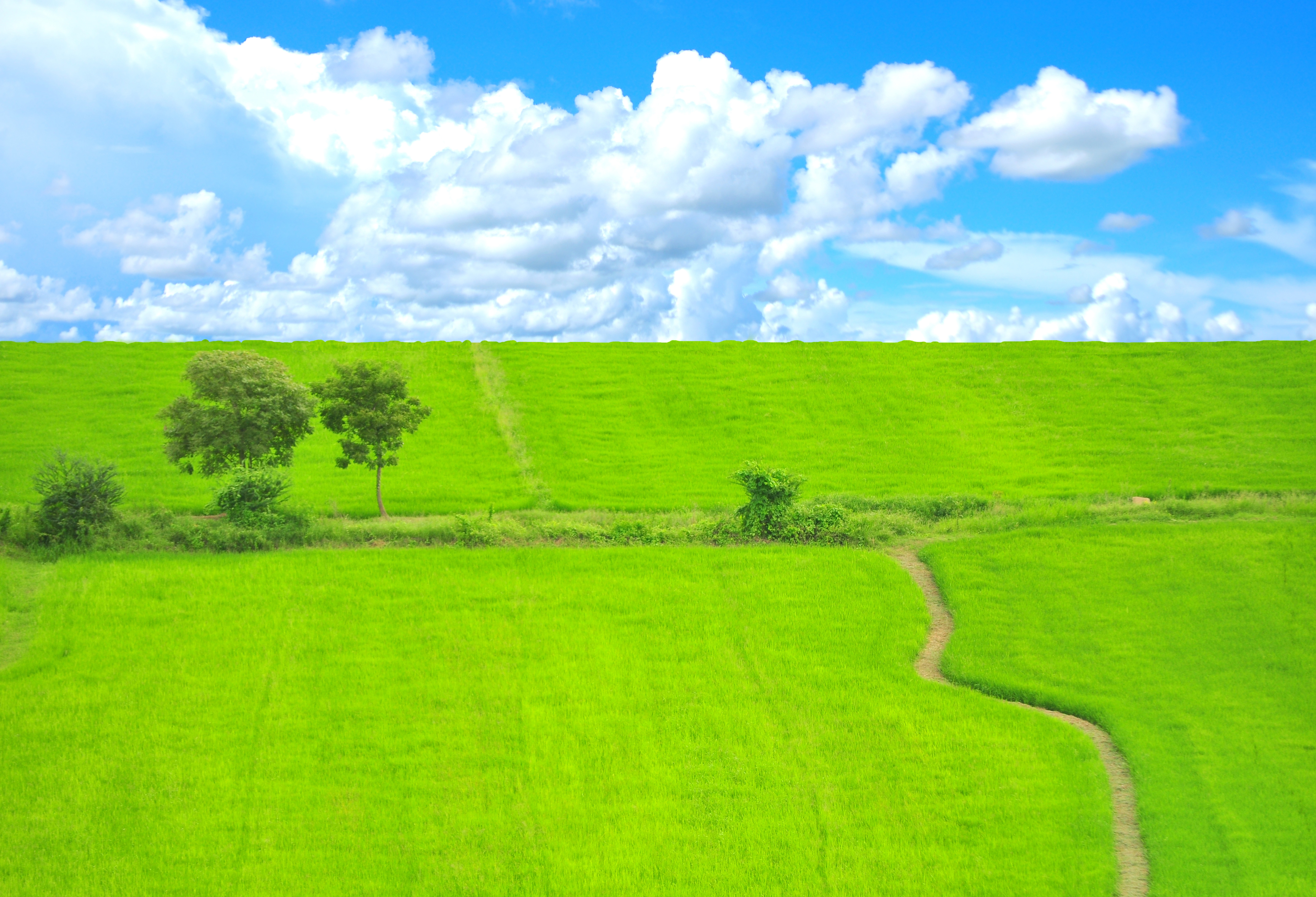 Wallpapers landscape grass path on the desktop