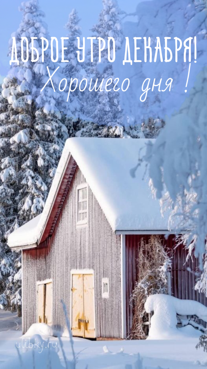 Бесплатная открытка Доброе утро декабря и хорошего дня