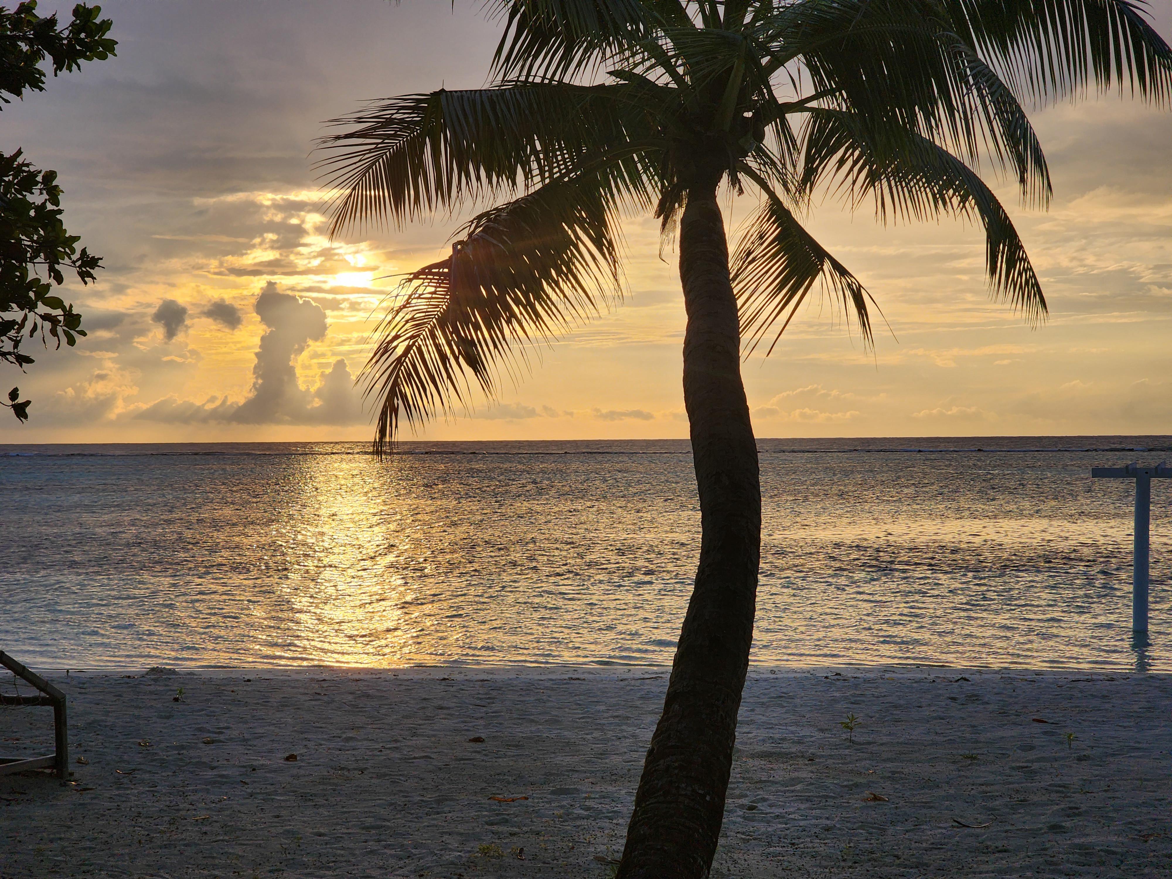 Бесплатное фото Коралловый риф вблизи