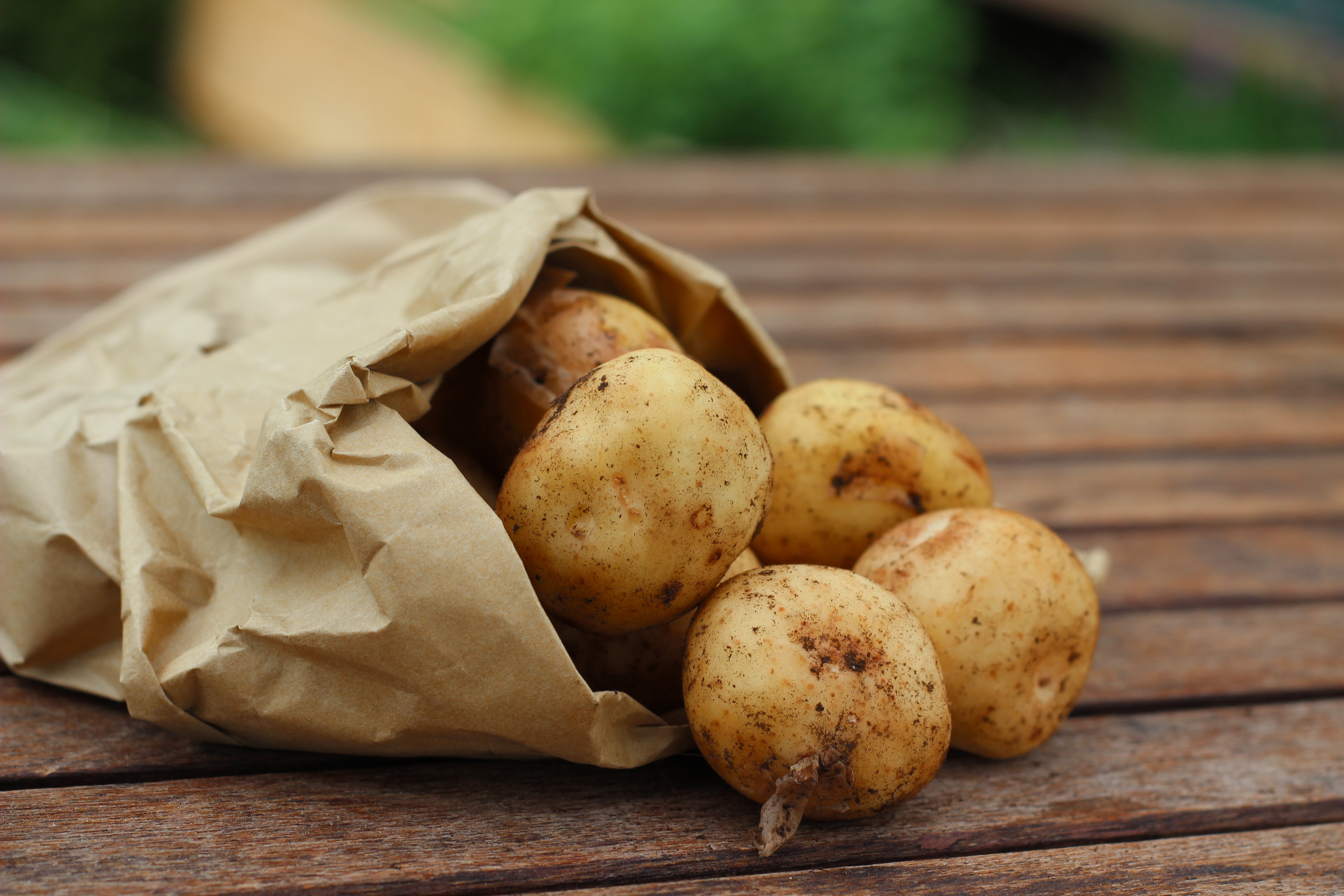 Free photo A paper bag of potatoes