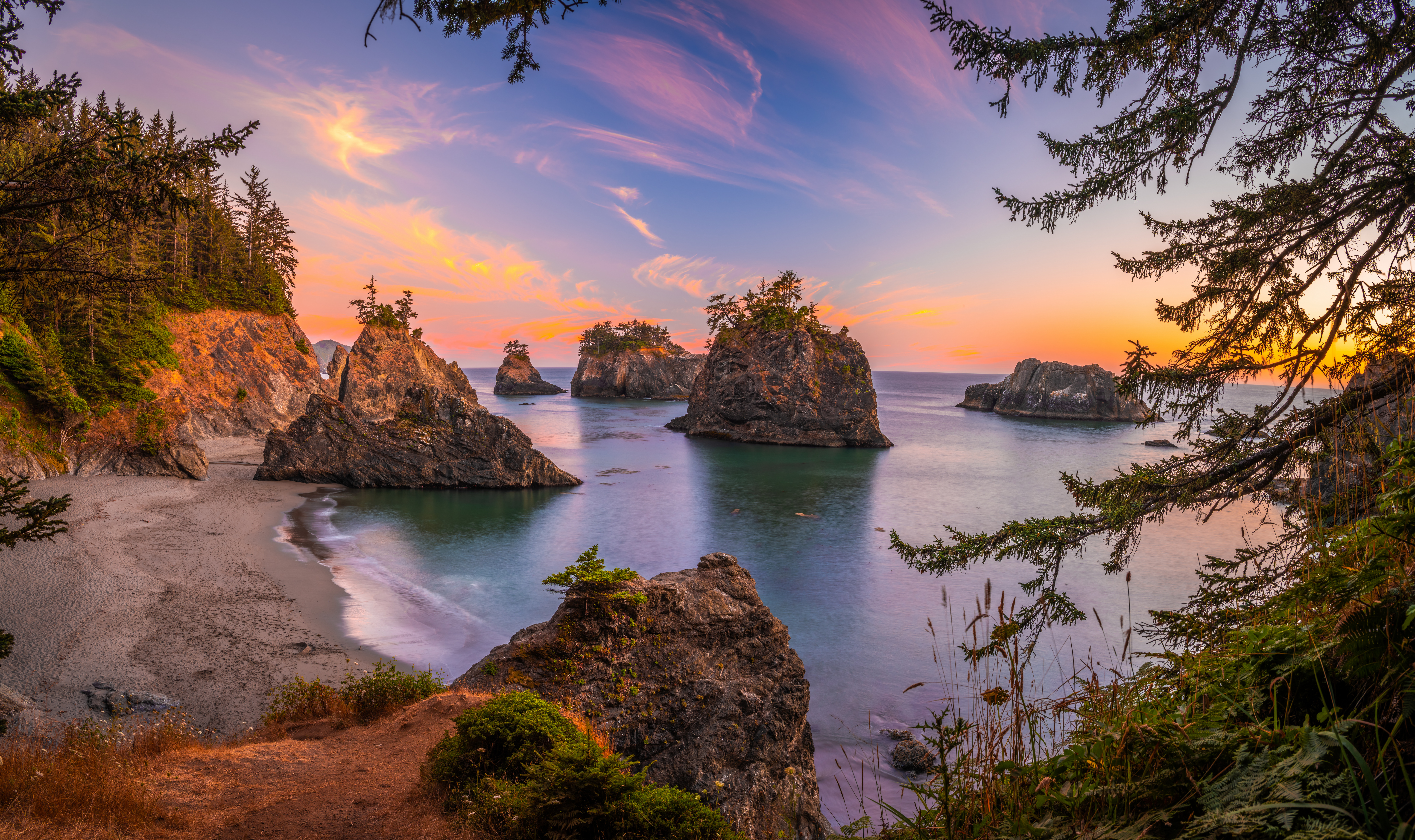 Wallpapers nature coast crag the trees on the desktop