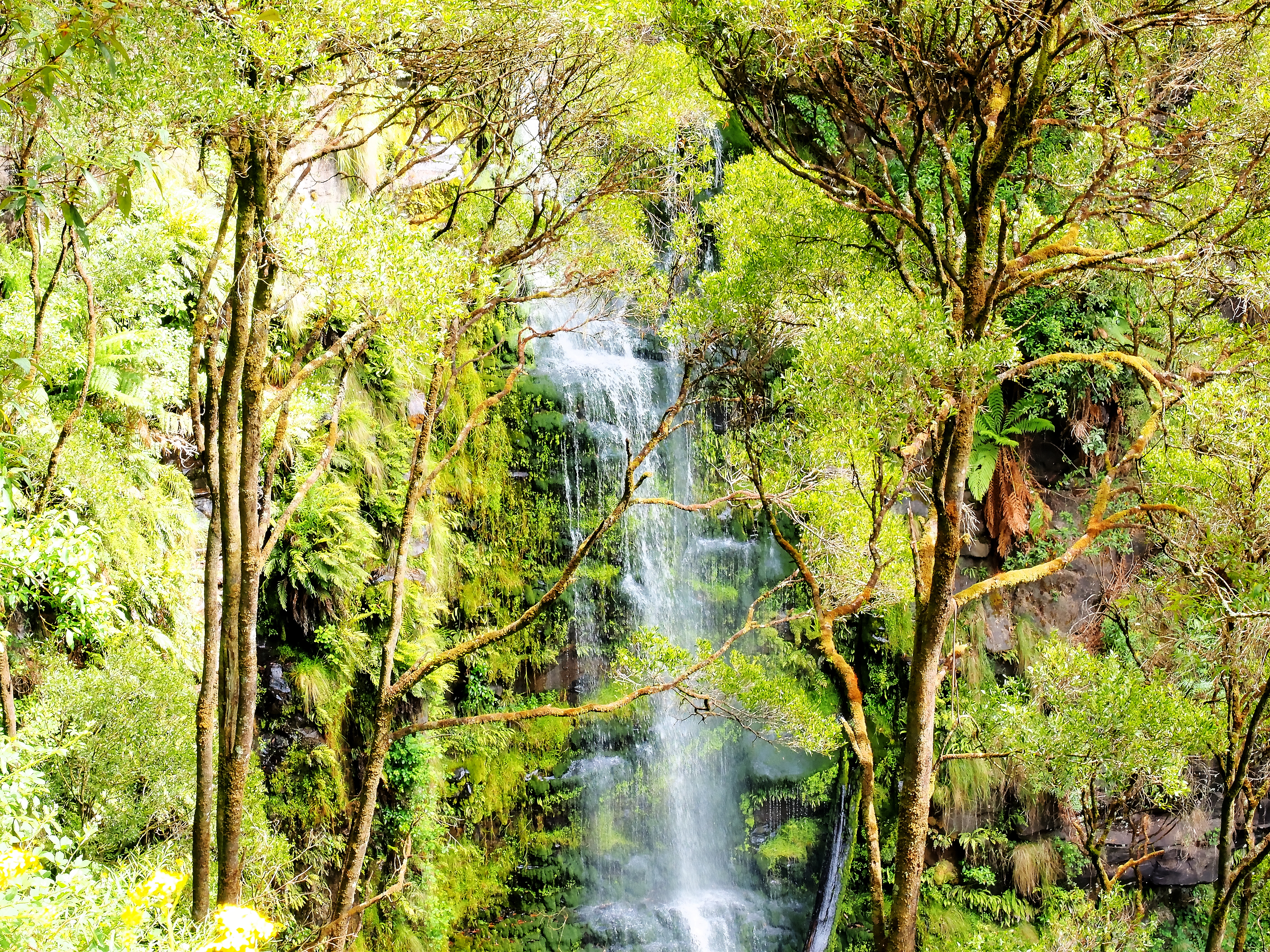 Wallpapers Lorne Australia Erskine Falls on the desktop