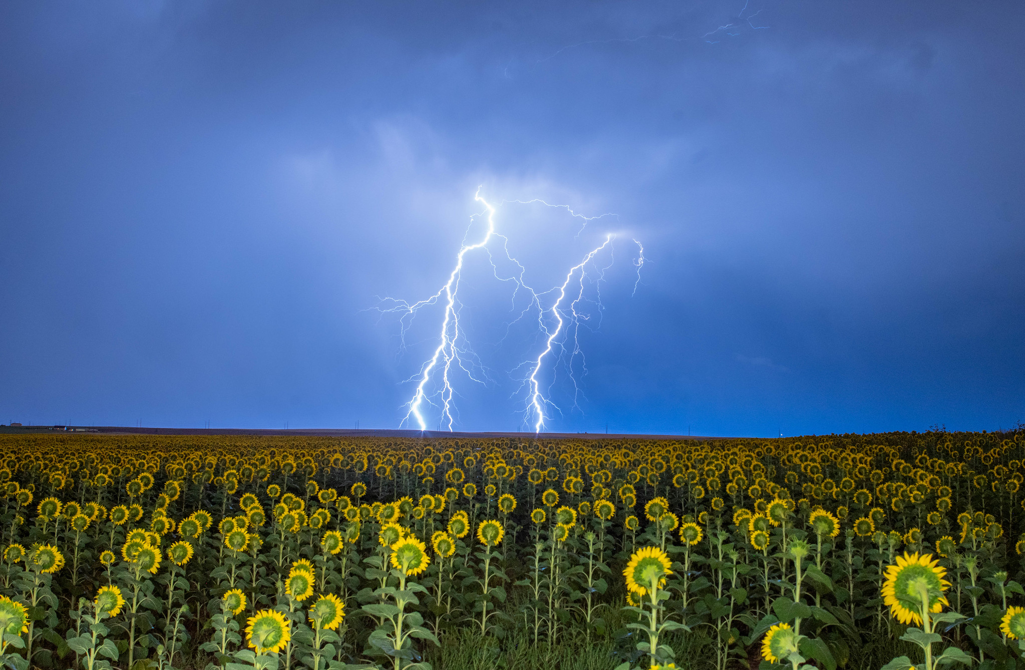 Wallpapers lightning thunderstorm field on the desktop