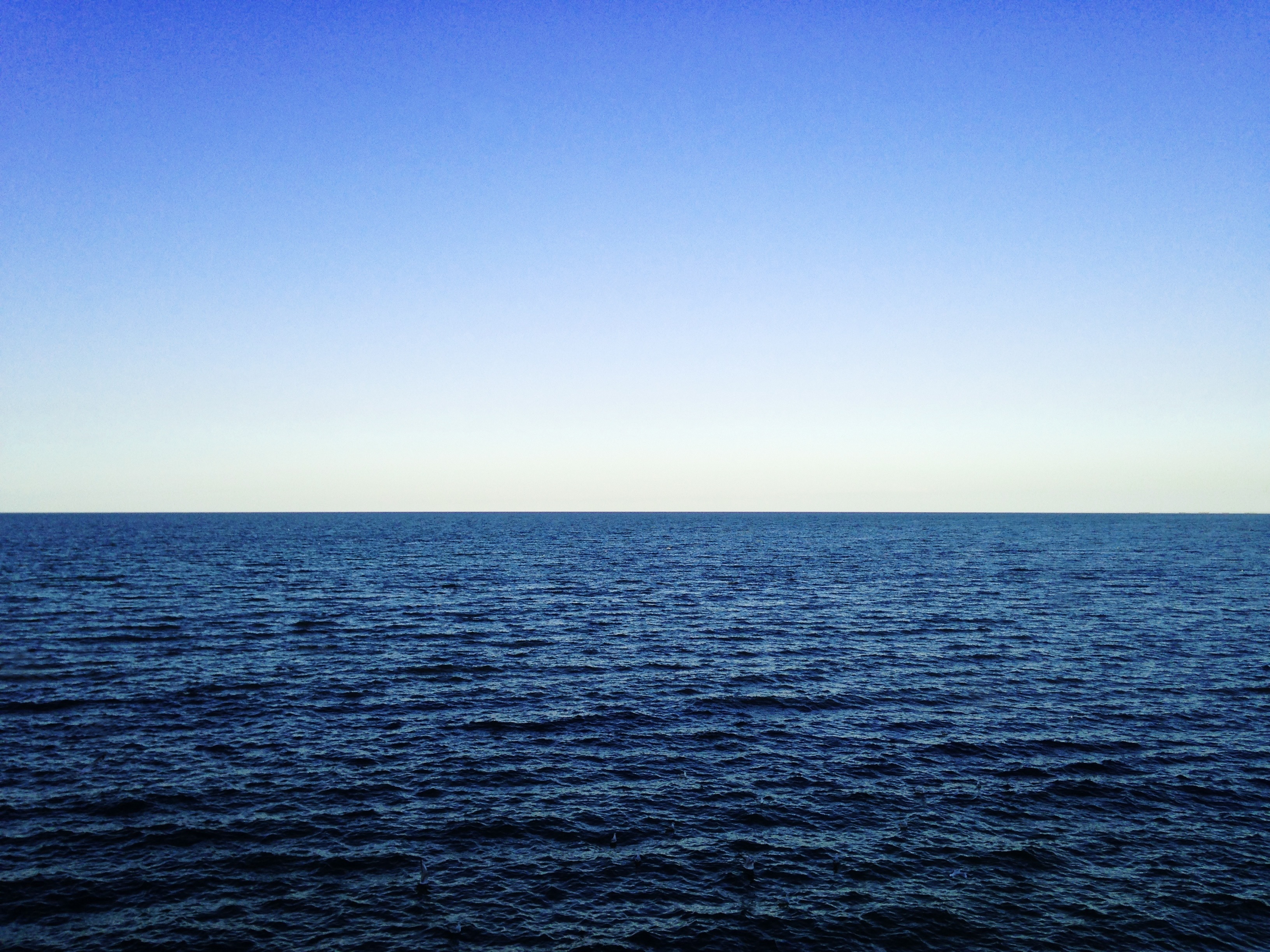 桌面上的壁纸海 海岸 水