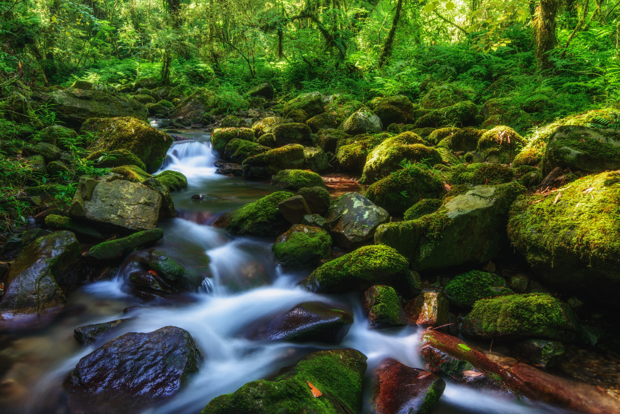 Wallpapers moss on the rocks landscapes stones on the desktop