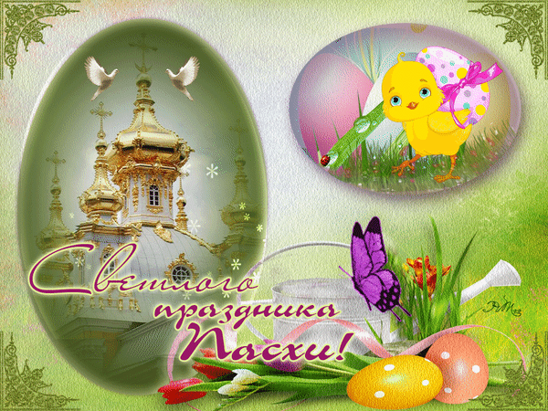 Postcard on the theme spring painted chick download for free