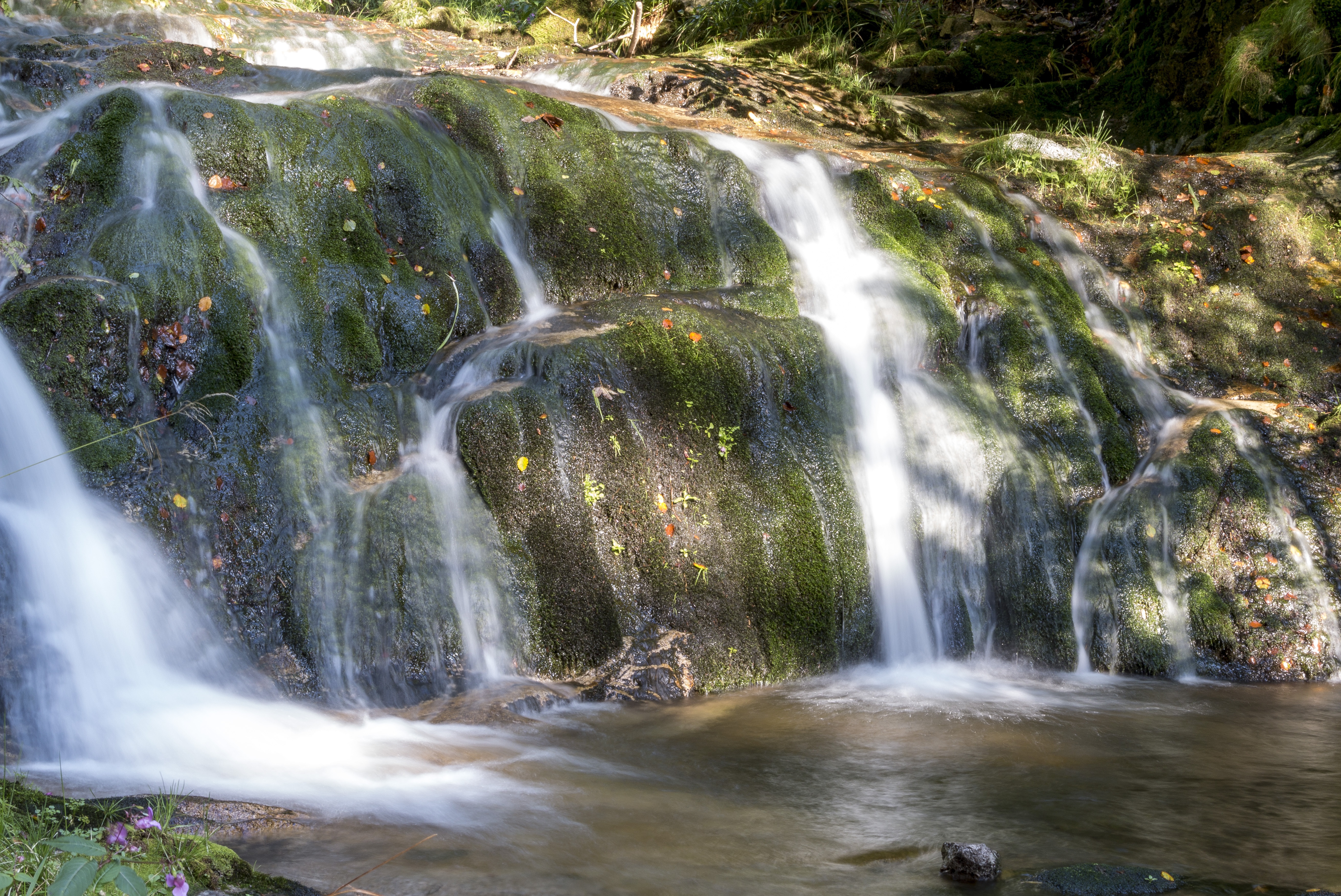 Free photo A waterfall from a smooth rock