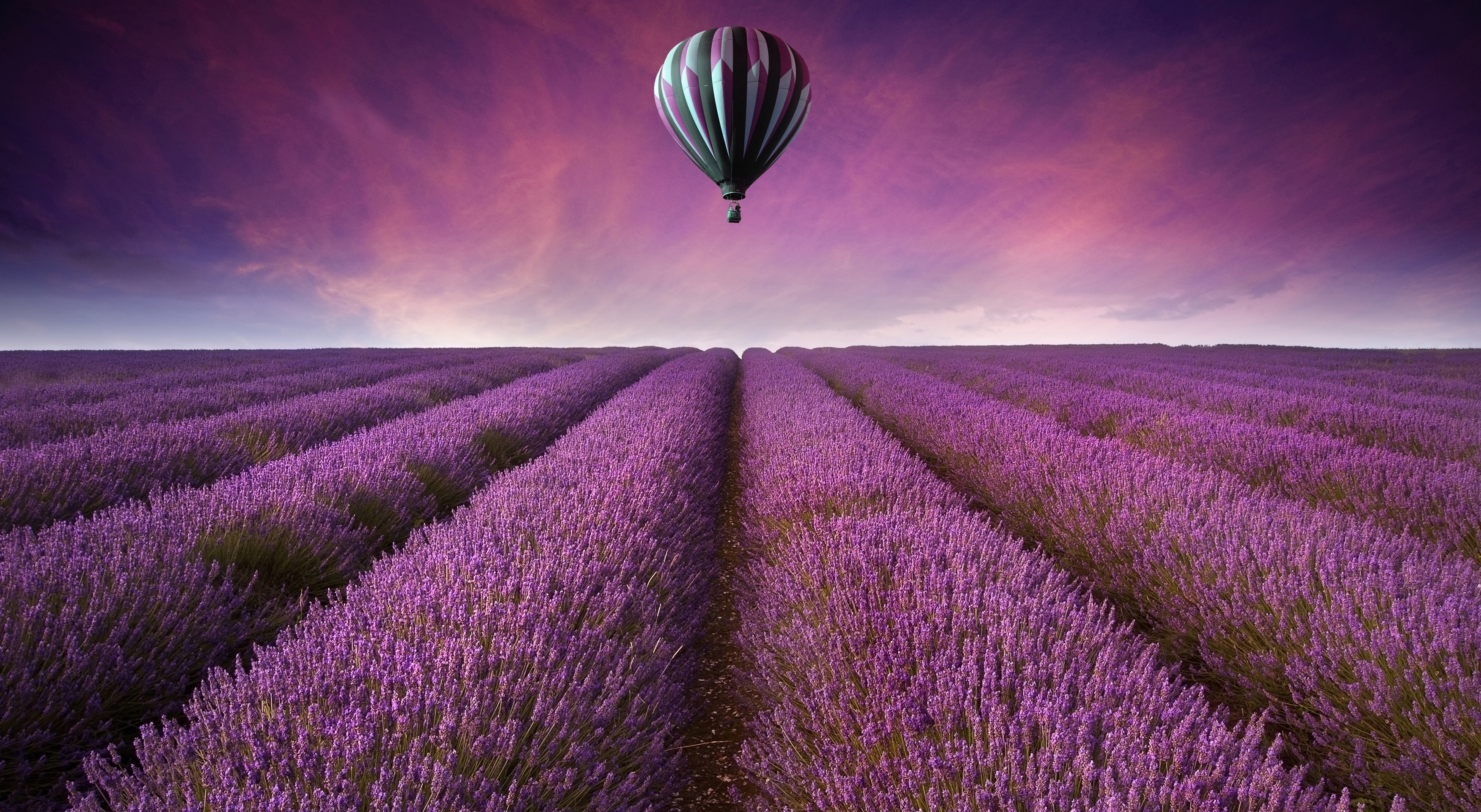 Wallpapers air balloon field on the desktop