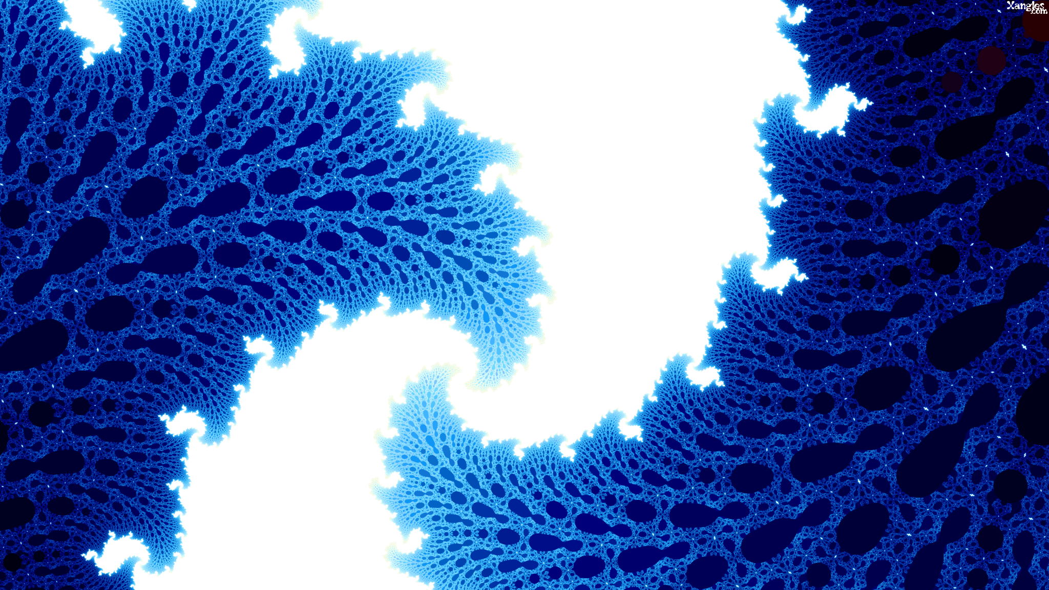 Wallpapers digital art branch blue on the desktop