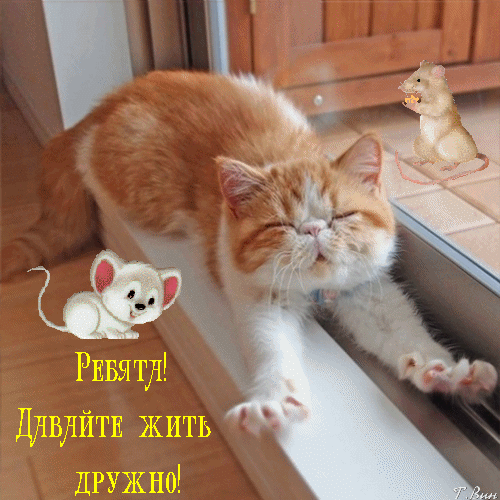 Открытка на тему друзья праздники скачать бесплатно