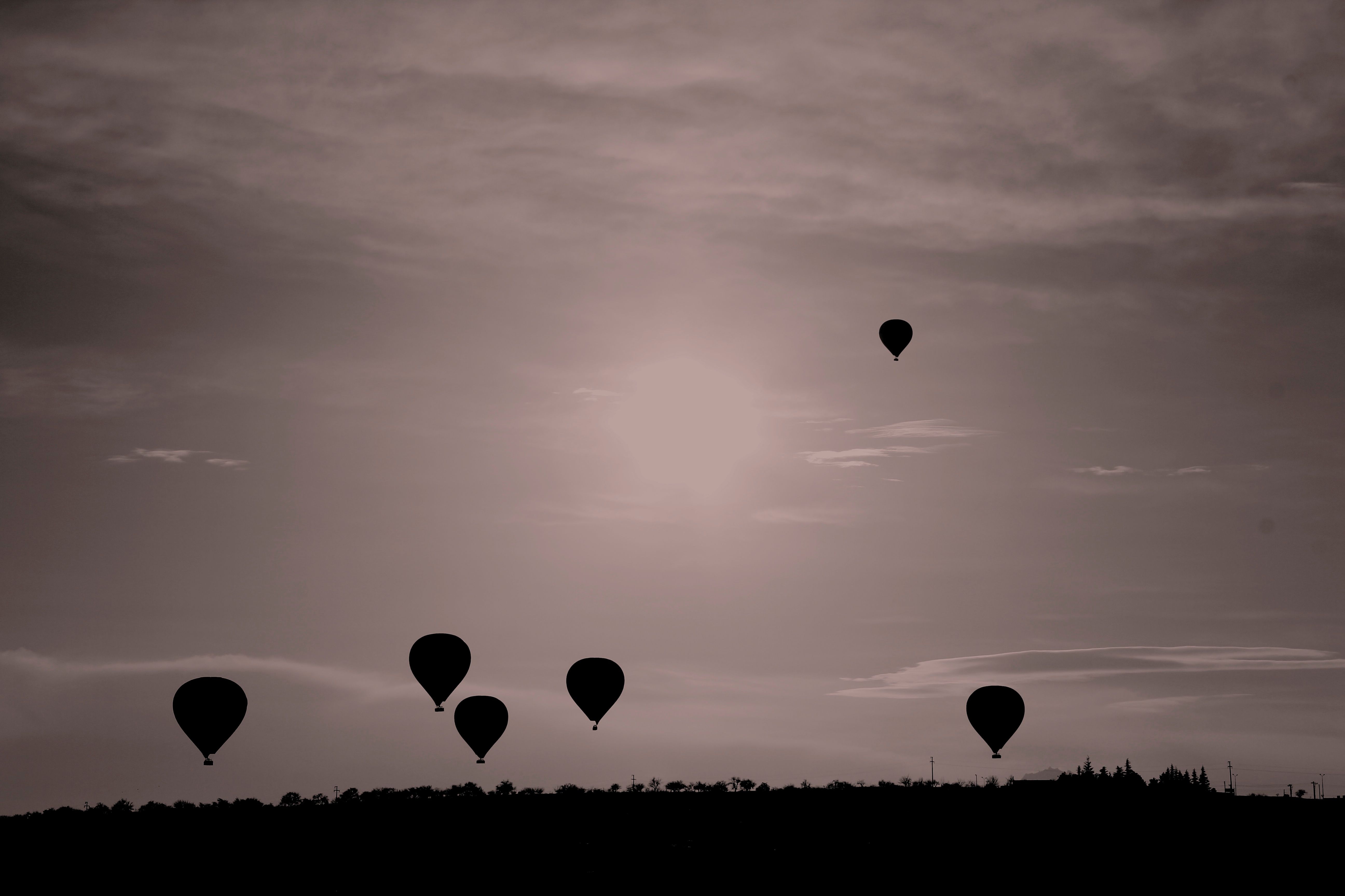 Wallpapers silhouette wing cloud on the desktop