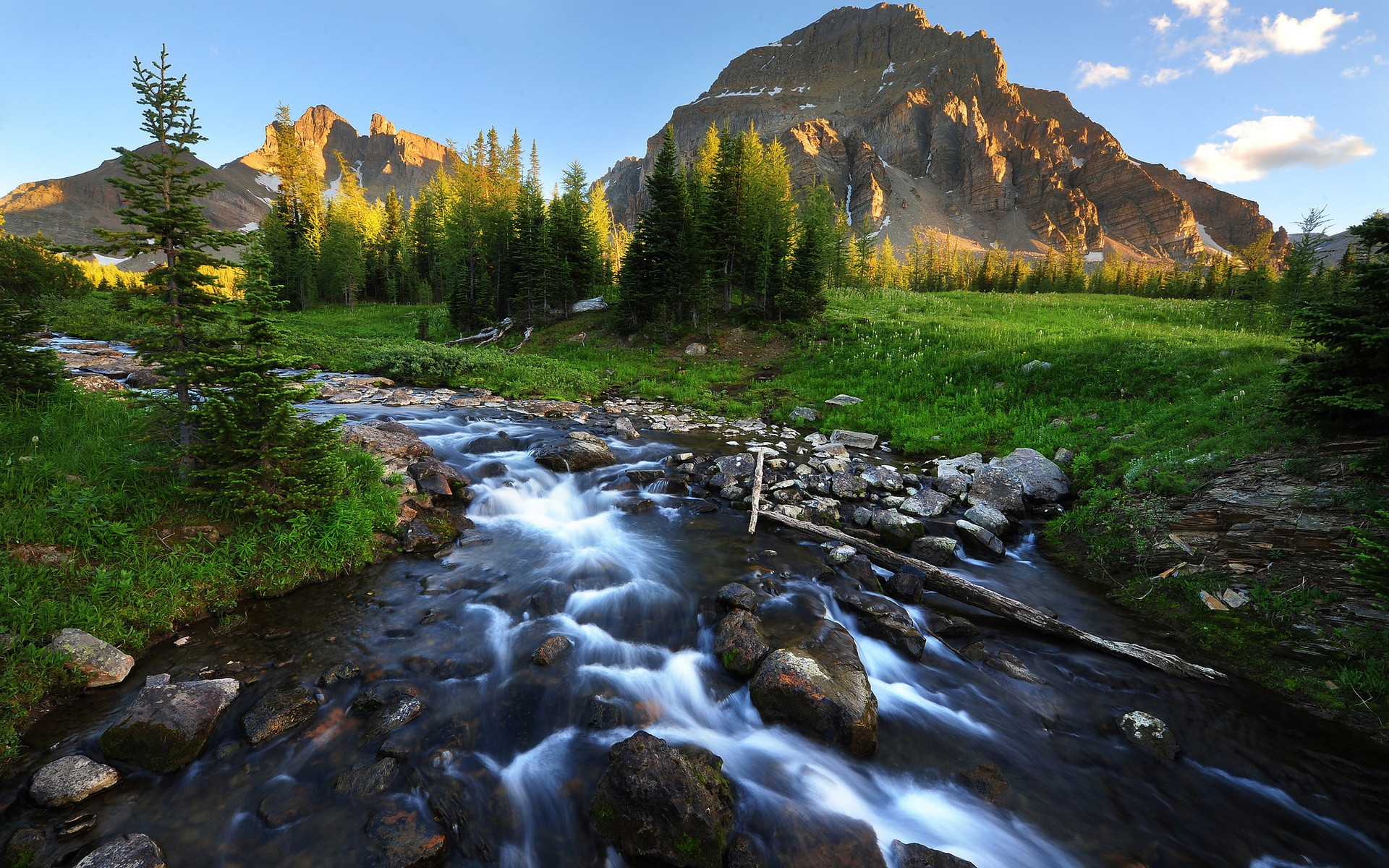 Summer picture of a mountainous shallow river