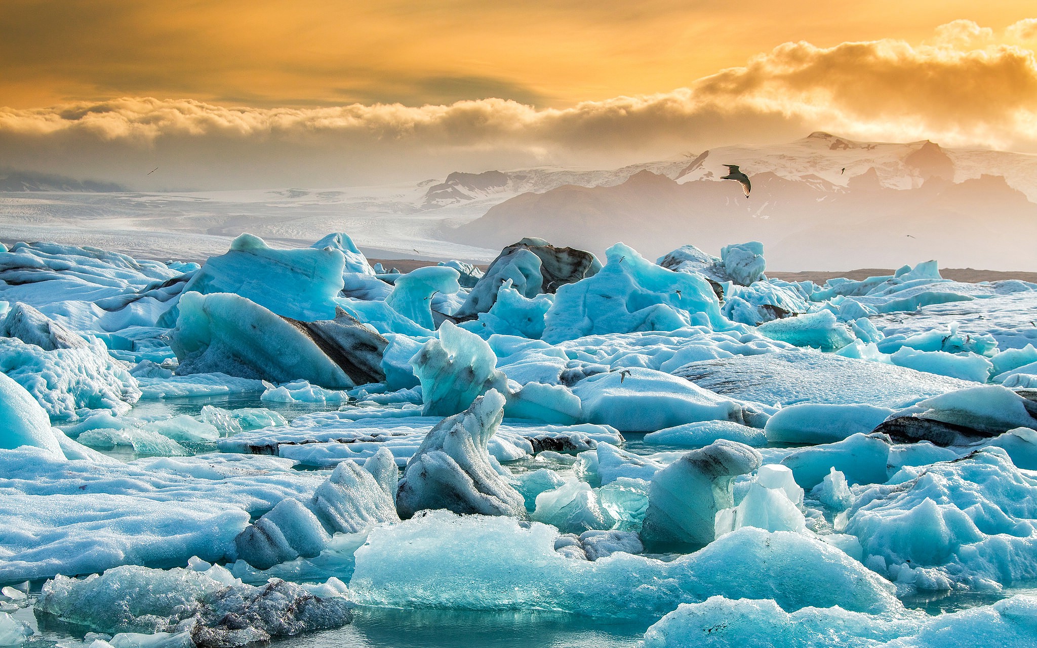 桌面上的壁纸云彩 鸟类 冰岛