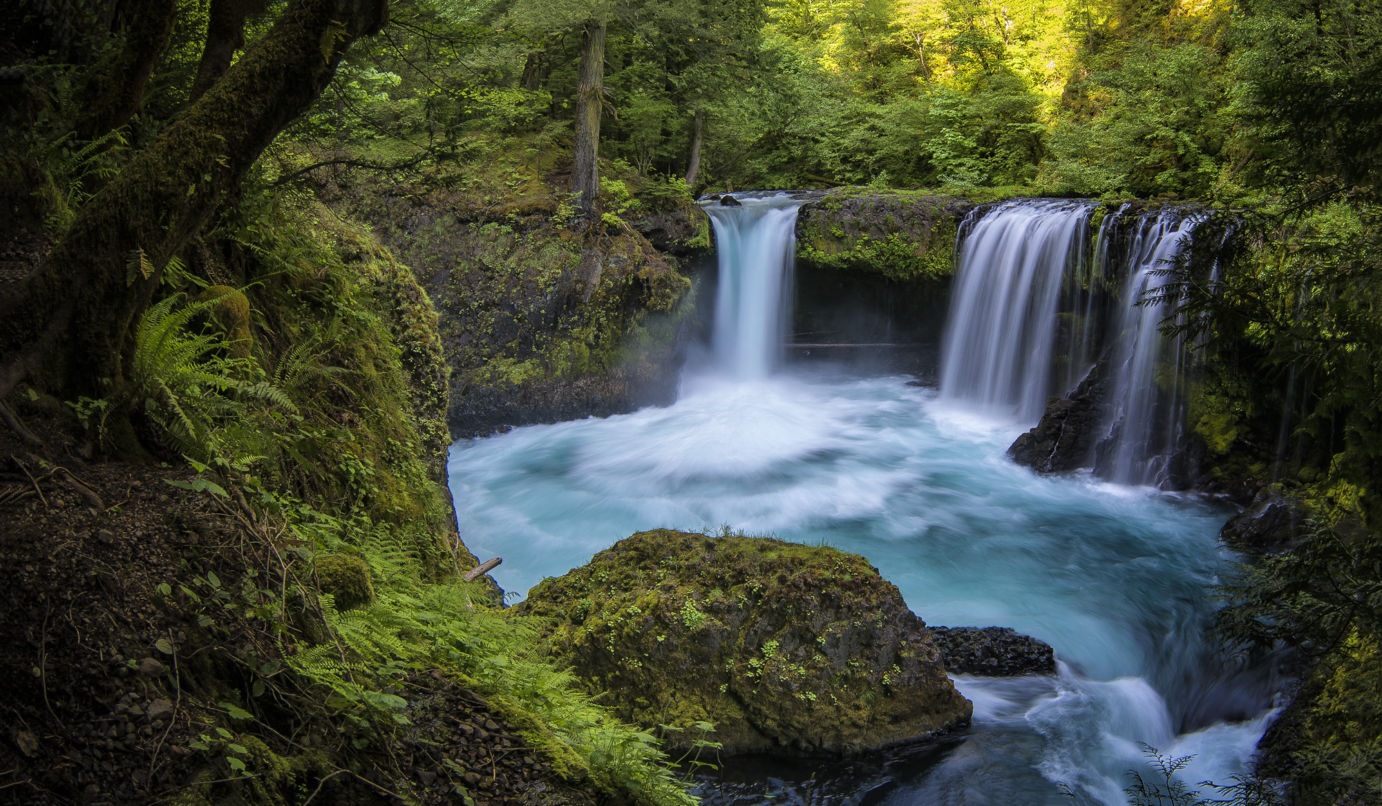 Обои Columbia River Gorge Spirit Falls лес на рабочий стол