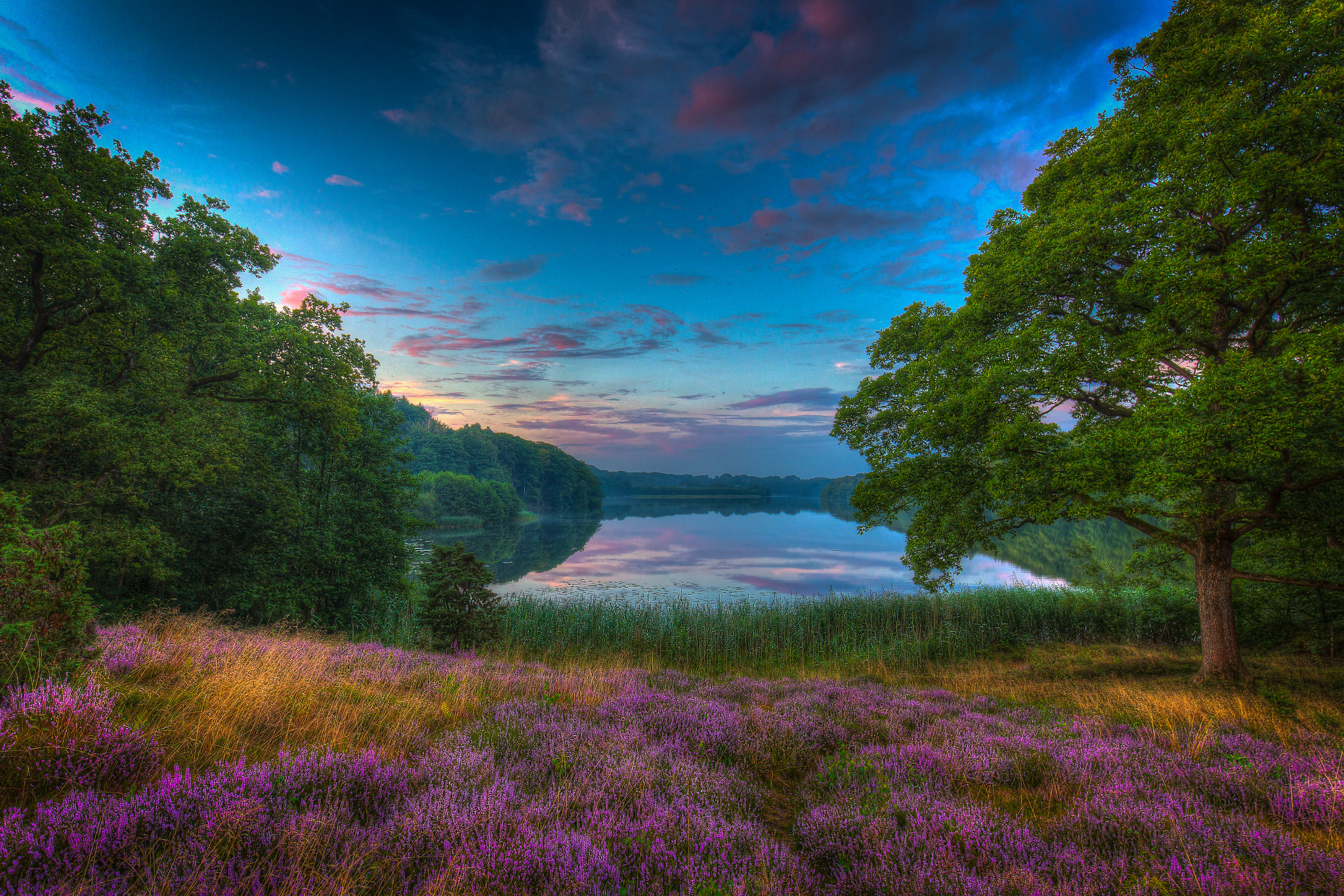 Wallpapers Dollerup Hills at Hald Lake Jutland Denmark on the desktop