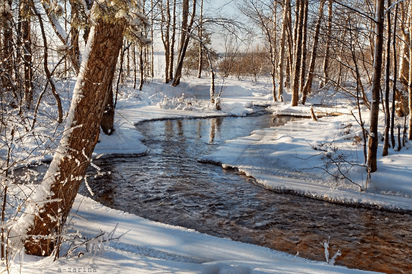 主题为小溪 春季 动画的明信片免费下载