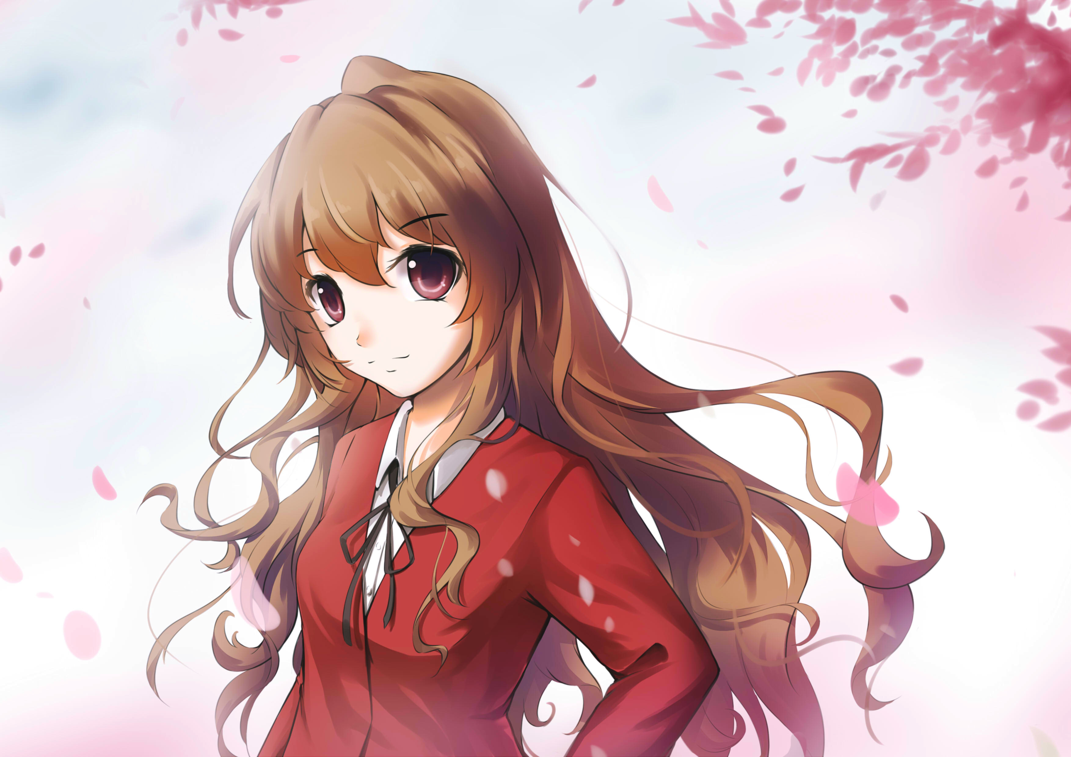 桌面上的壁纸Toradora 艺术 女孩