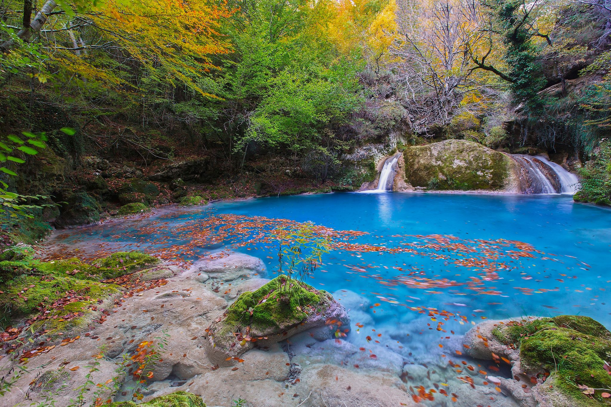 Free photo Wallpaper on the table forest, autumn