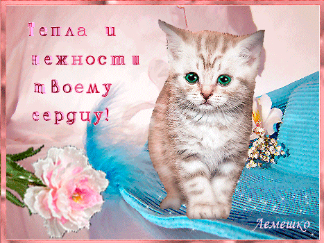 Postcard on the theme good day cards flowers kitten download for free