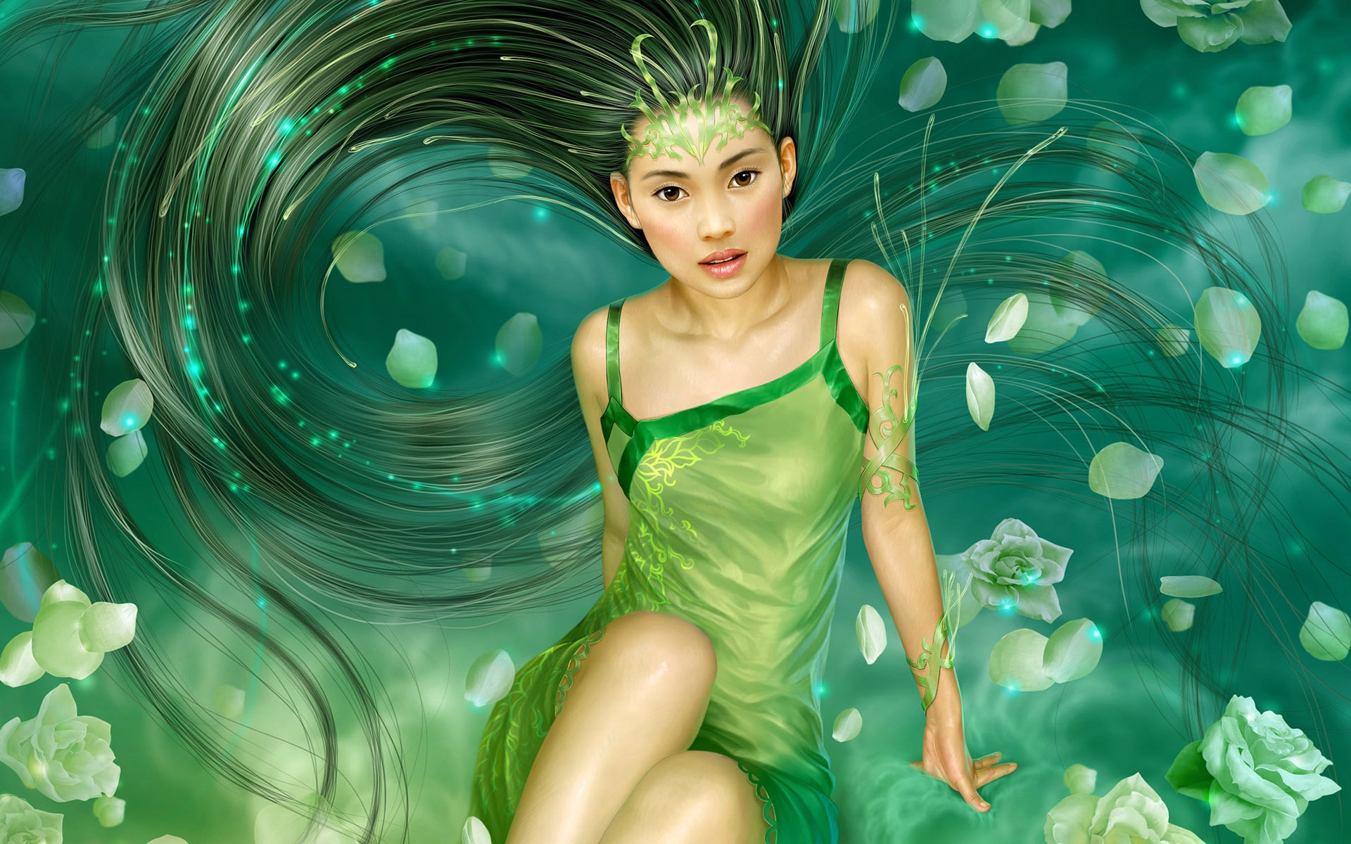 桌面上的壁纸鲜花 草地 绿化
