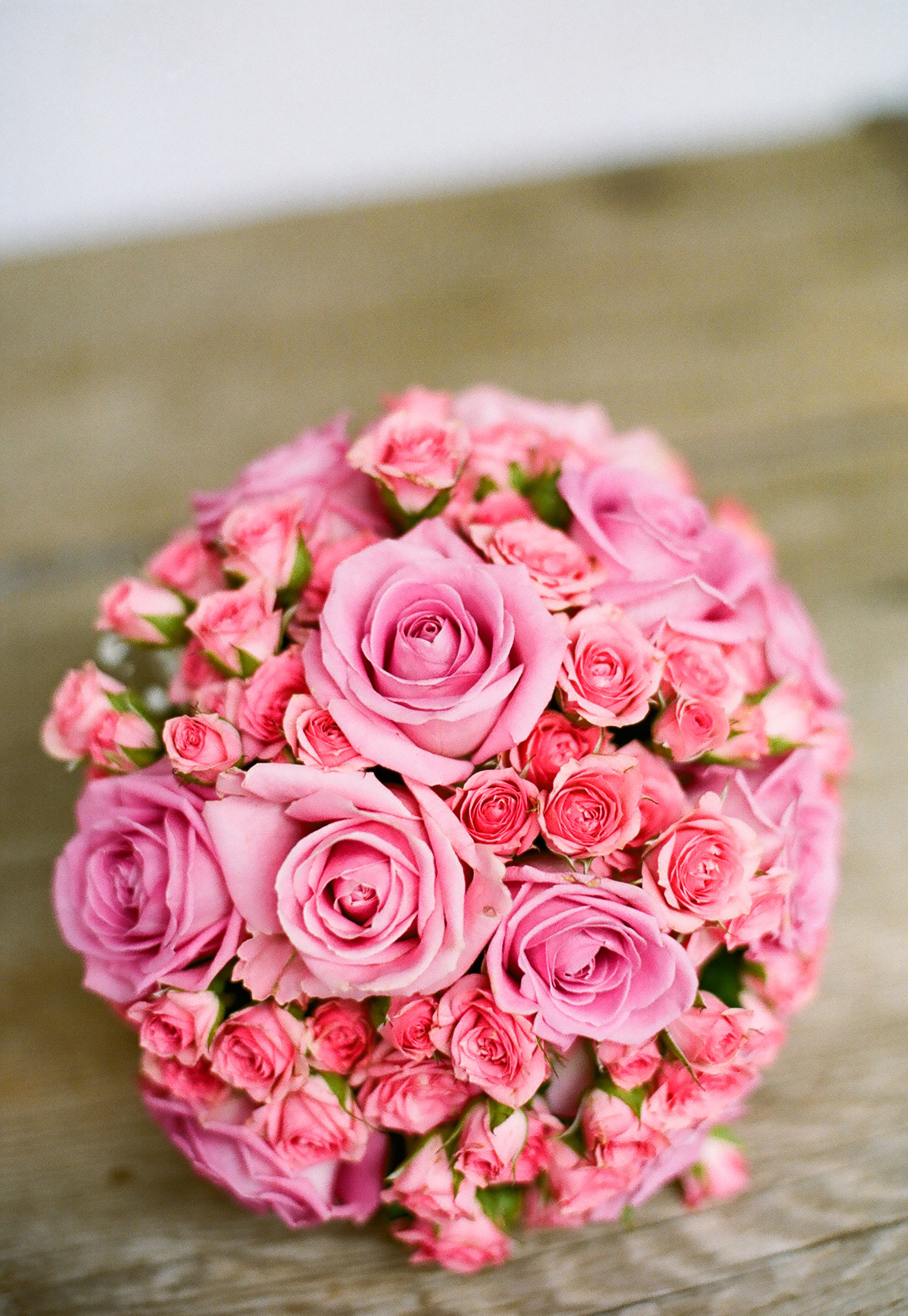 一束美丽的粉色玫瑰