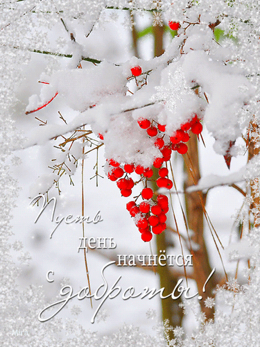 Открытка на тему анимация картинка доброе утро первый снег скачать бесплатно
