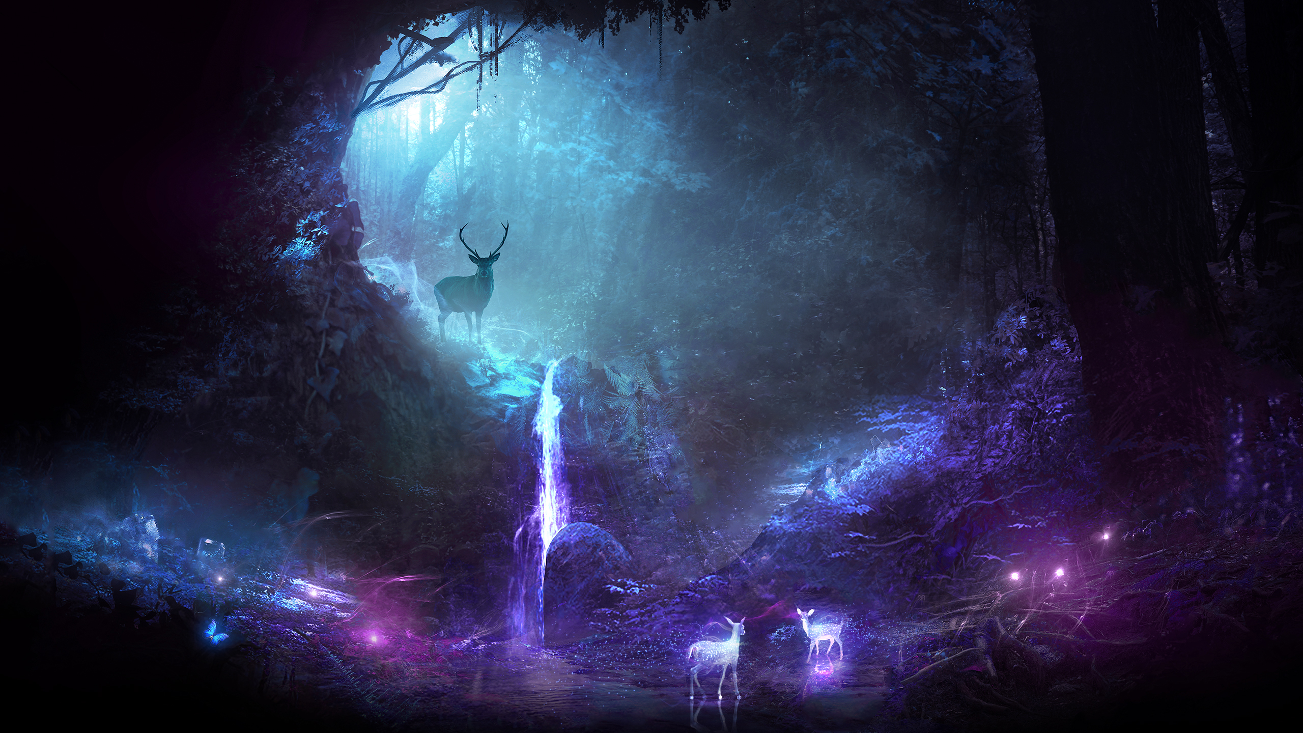 Wallpapers fantastic fantasy night on the desktop