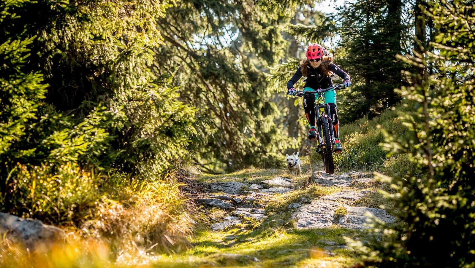 Wallpapers mountain bikes helmet bicycle on the desktop