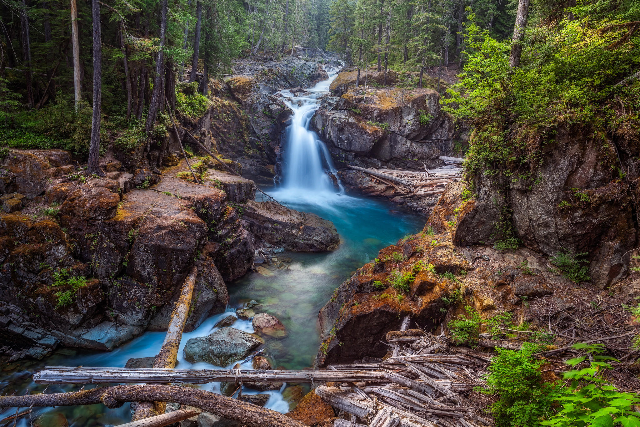 Wallpapers Mount Rainier National Park Washington forest on the desktop