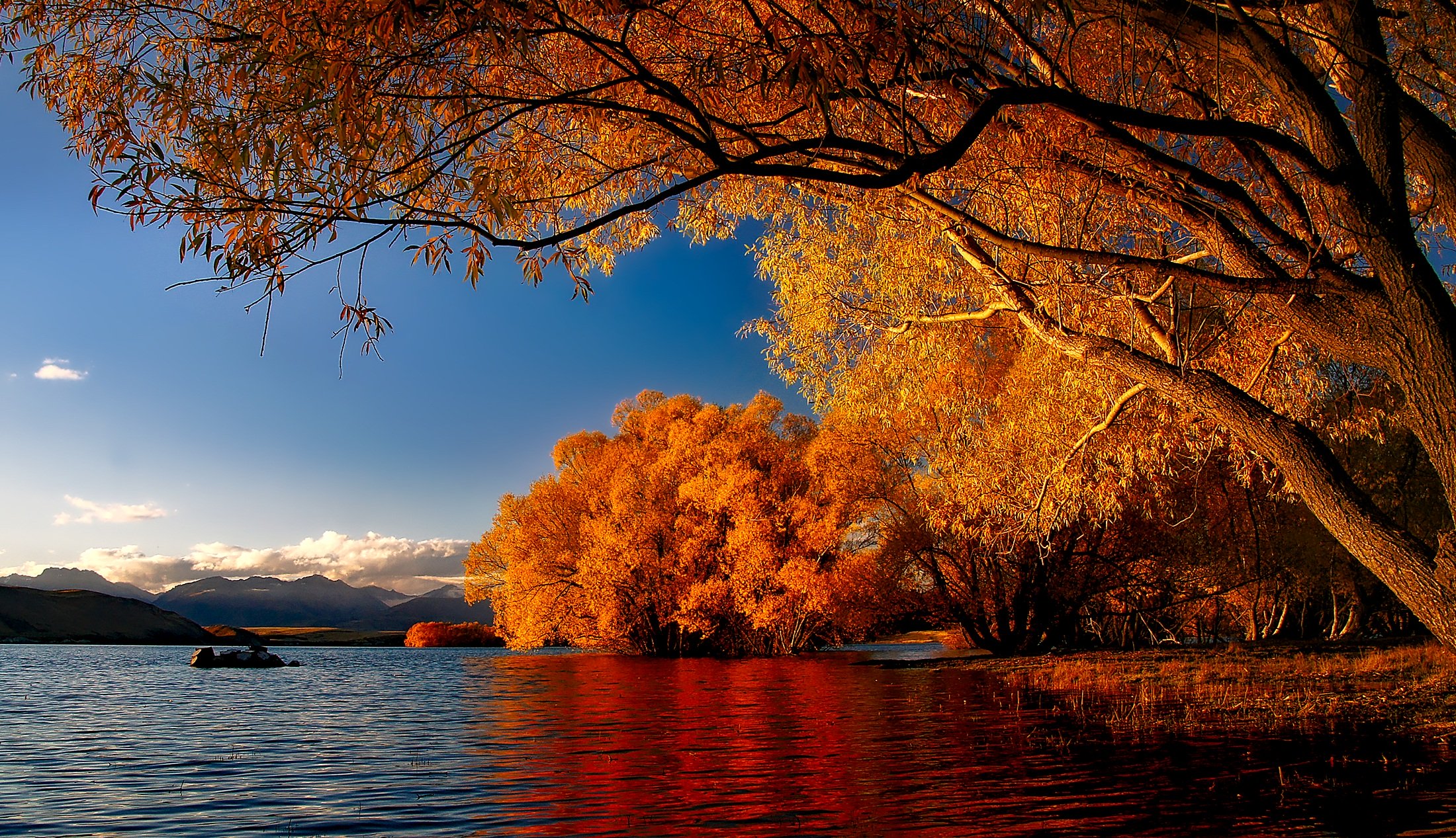 Wallpapers New Zealand lake Tekapo reflections on the desktop