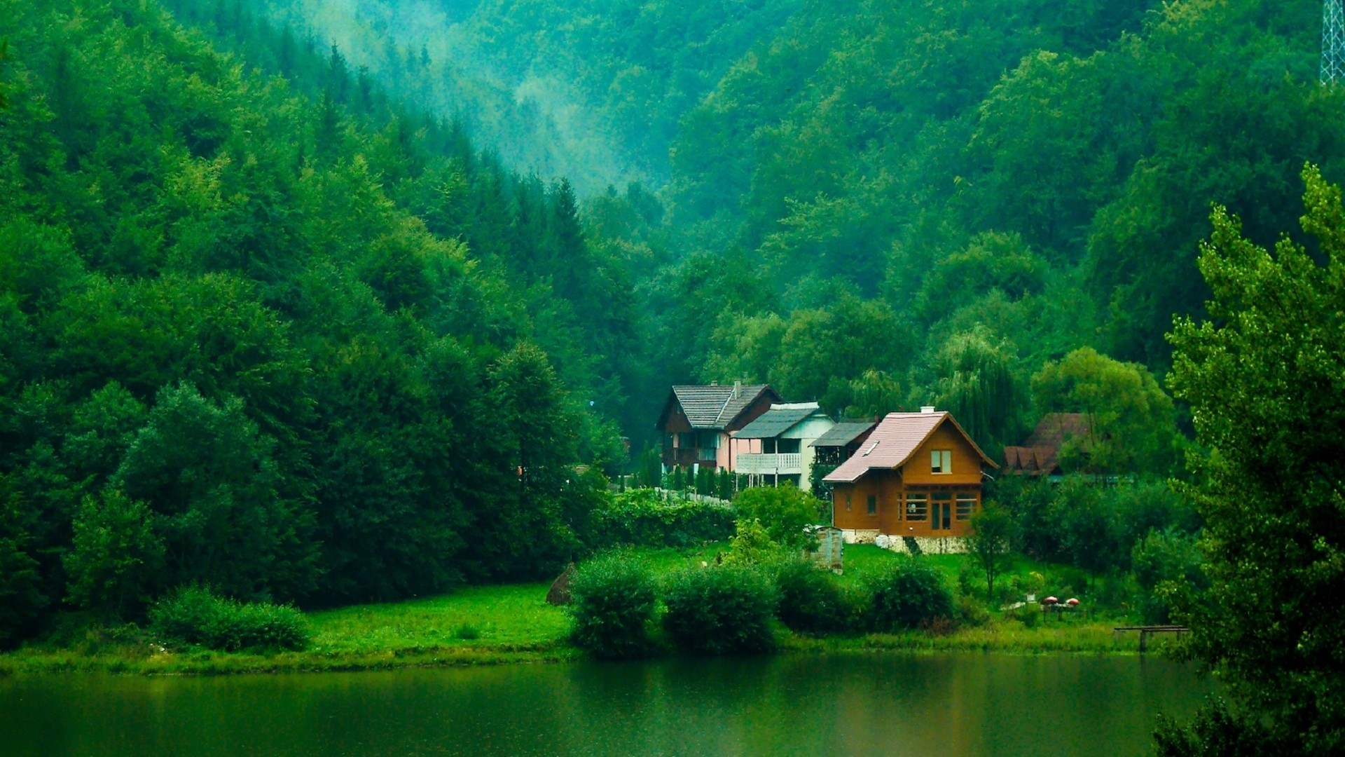 河边森林中的房屋