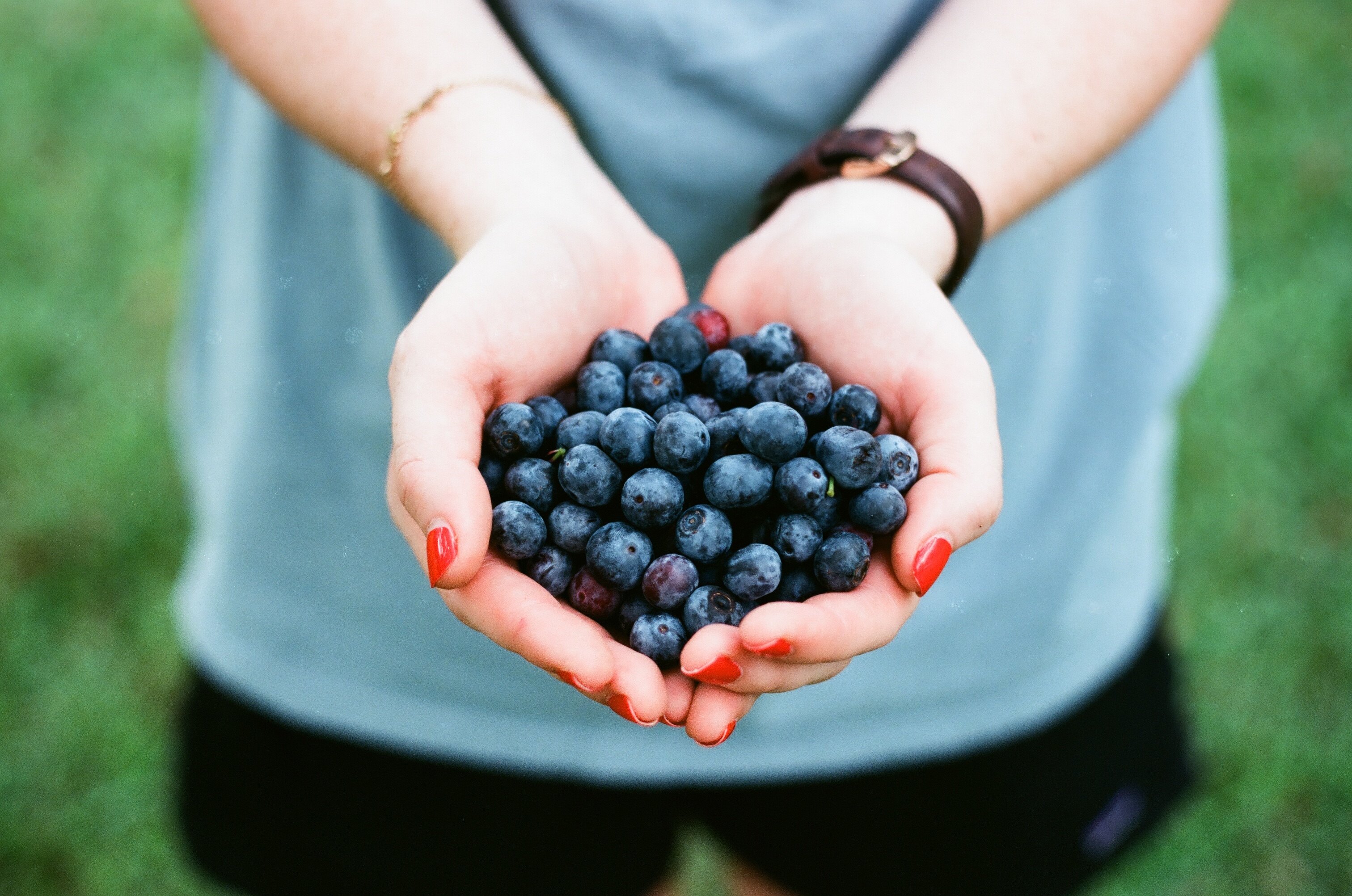 Free photo Two hands full of ripe blueberries.