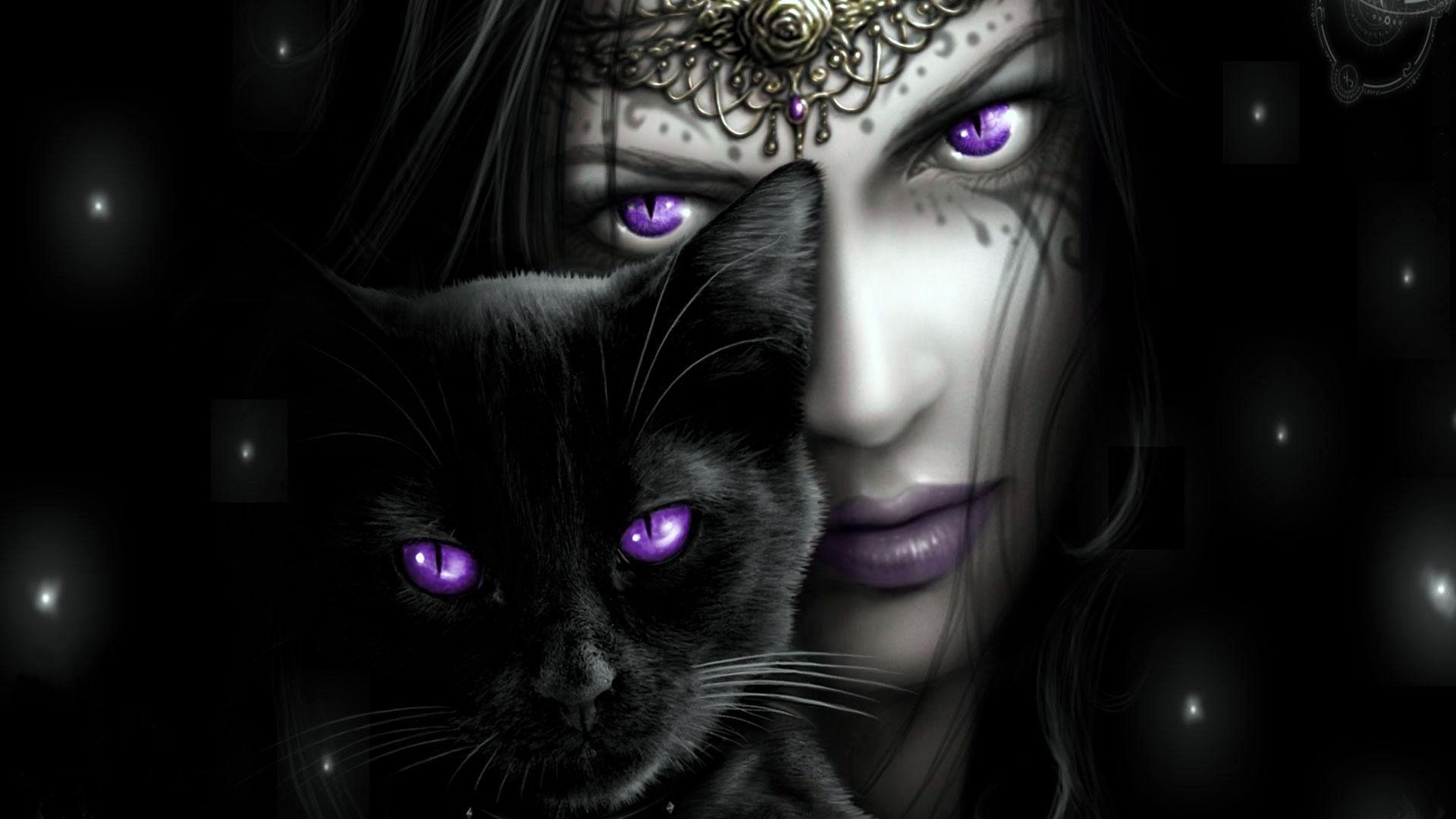 一个女孩和一只紫色眼睛的猫在一起。