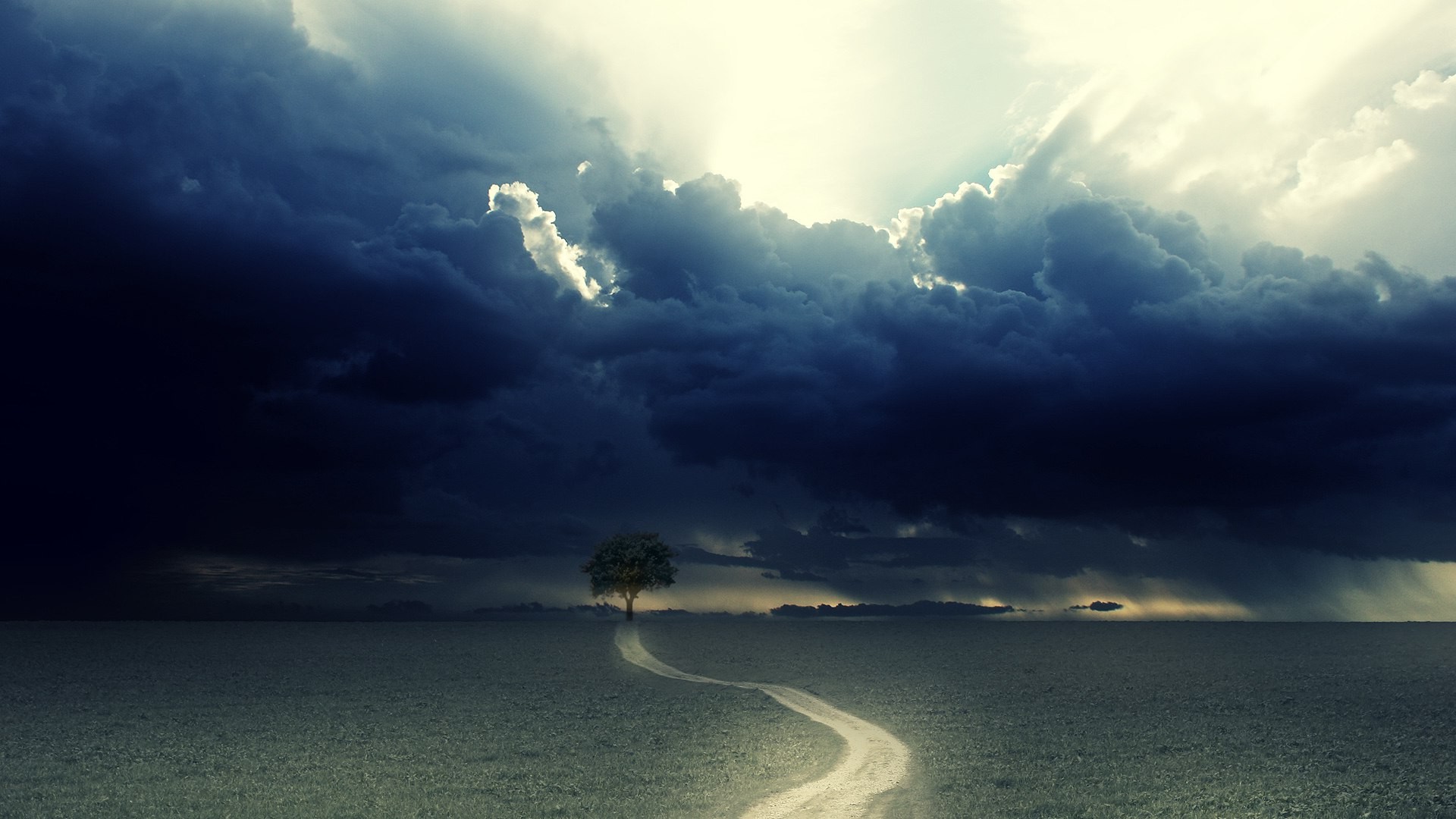 免费照片雷云笼罩着田野中的一棵孤树