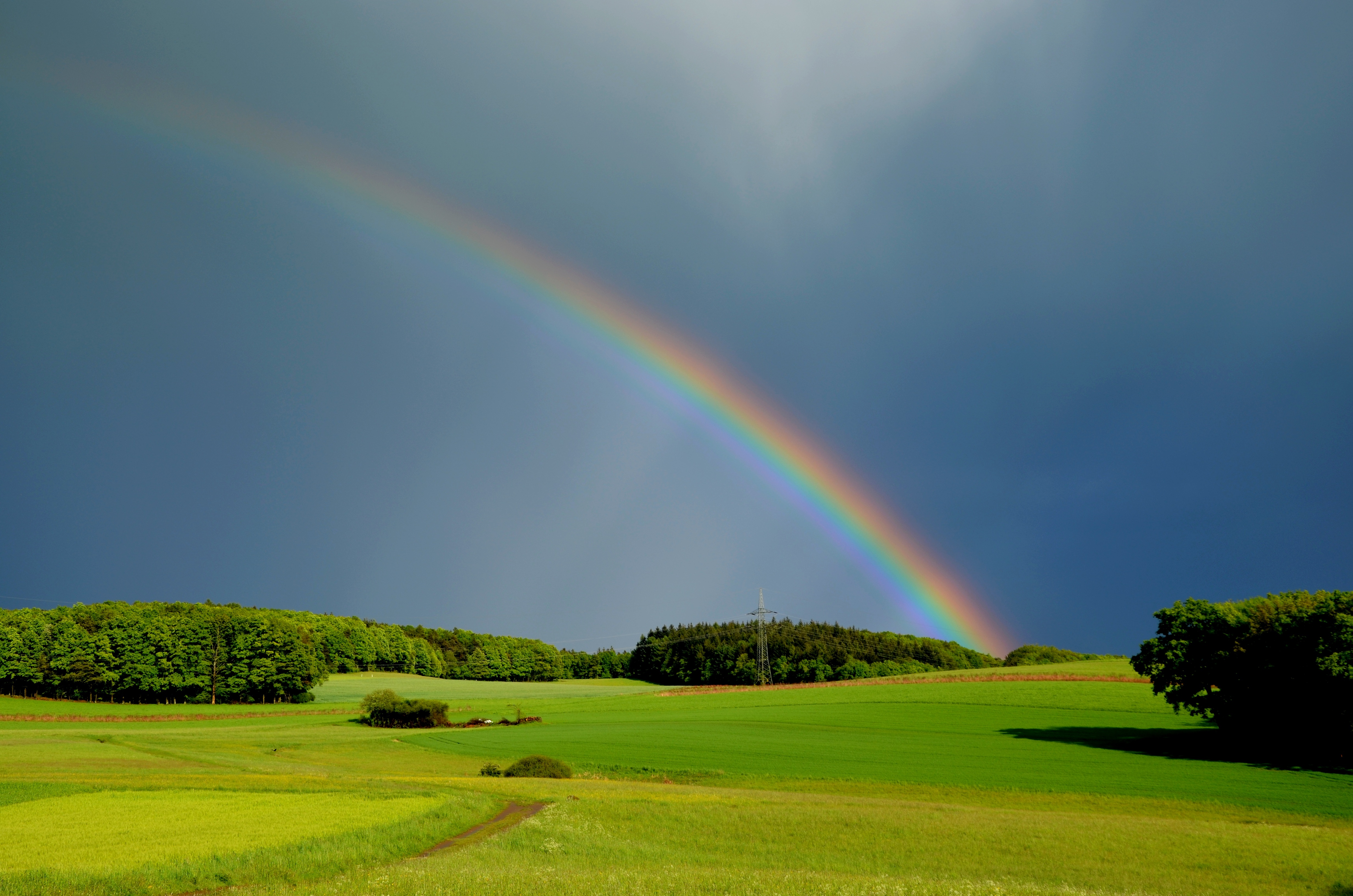 Free photo A big green field with a rainbow background