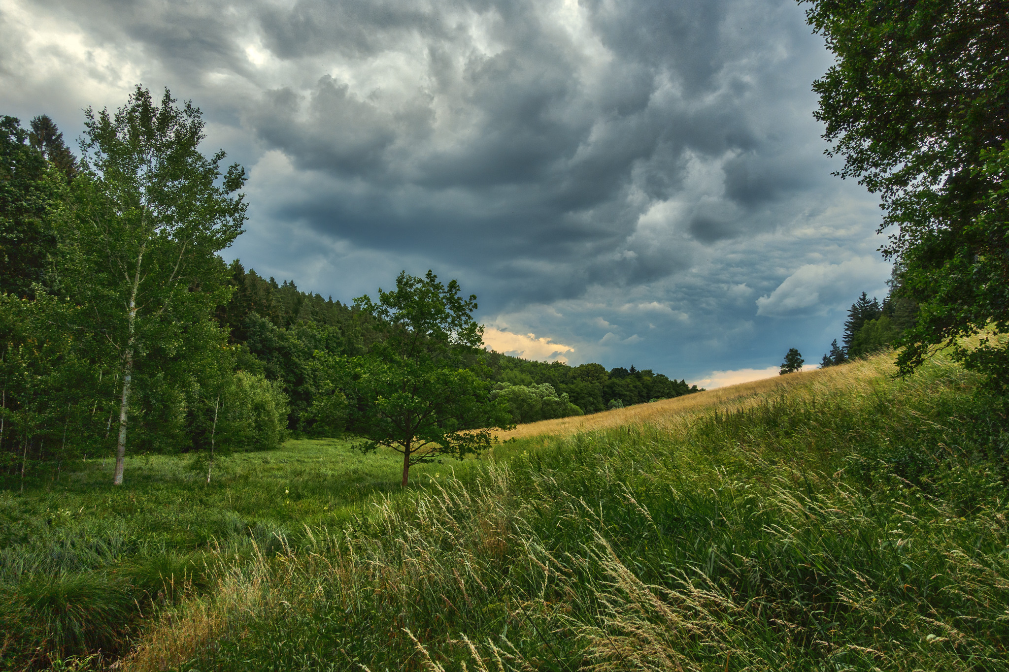 Wallpapers grass nature clouds on the desktop