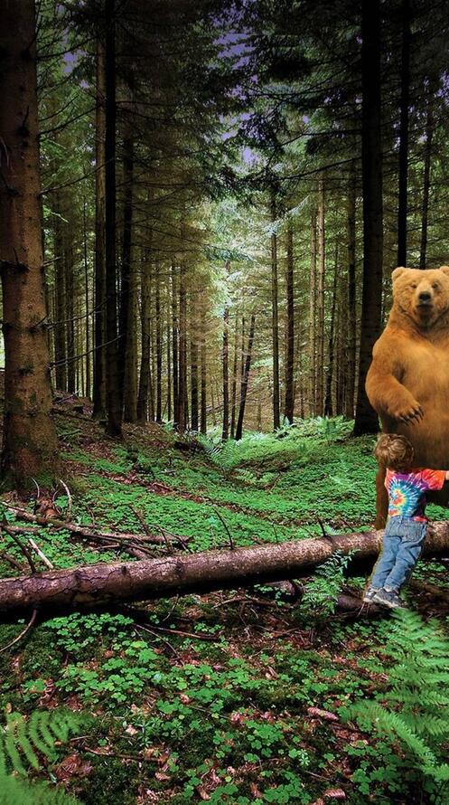 Обои медведь волк мальчик на рабочий стол