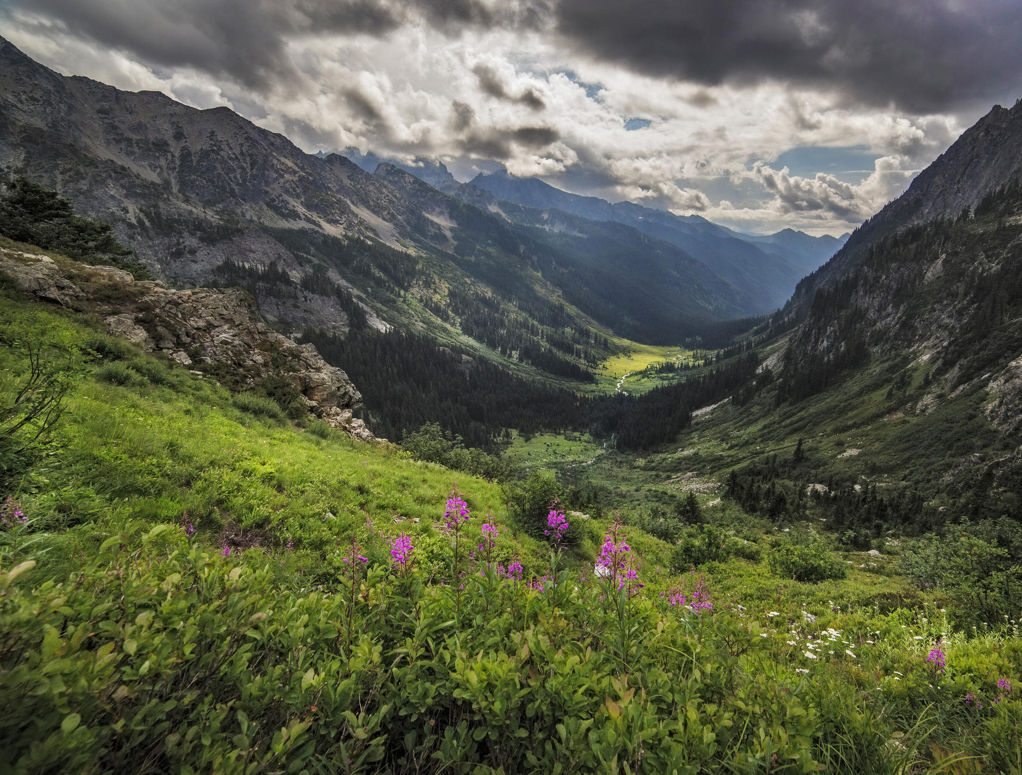 Обои Spider Meadows Glacier Peak Wilderness горы на рабочий стол