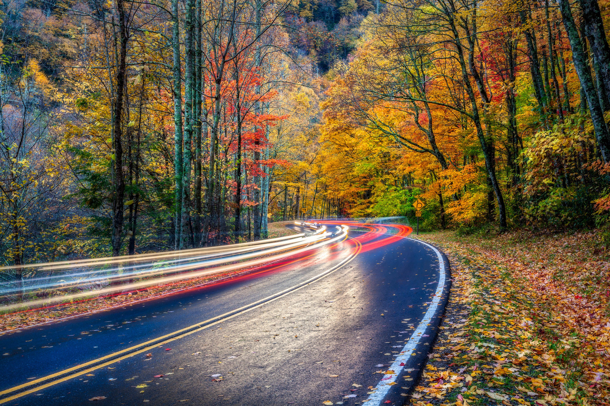 Wallpapers trees Great Smoky Mountains Park Tennessee on the desktop