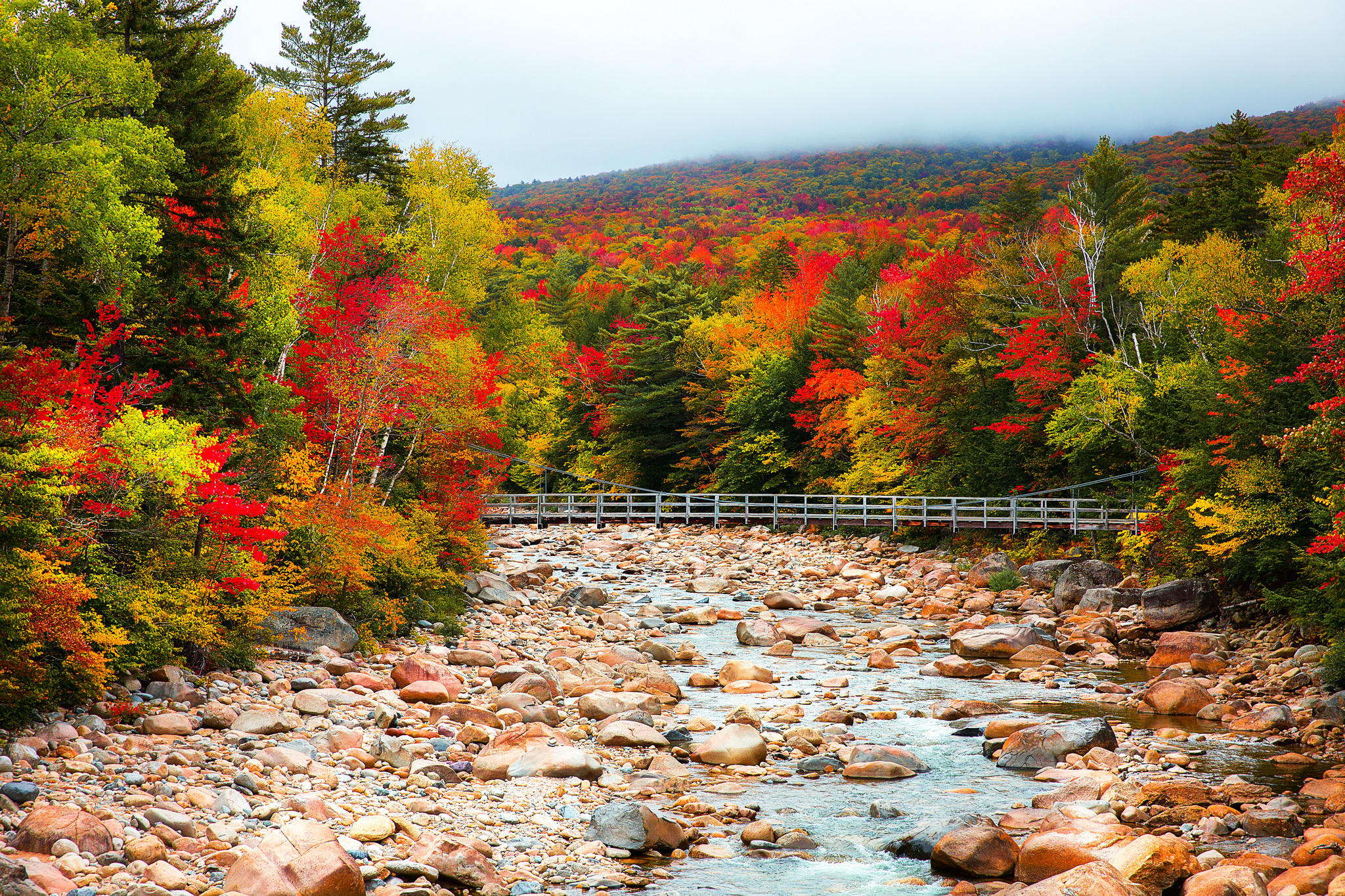 Wallpapers stones bridge forest on the desktop