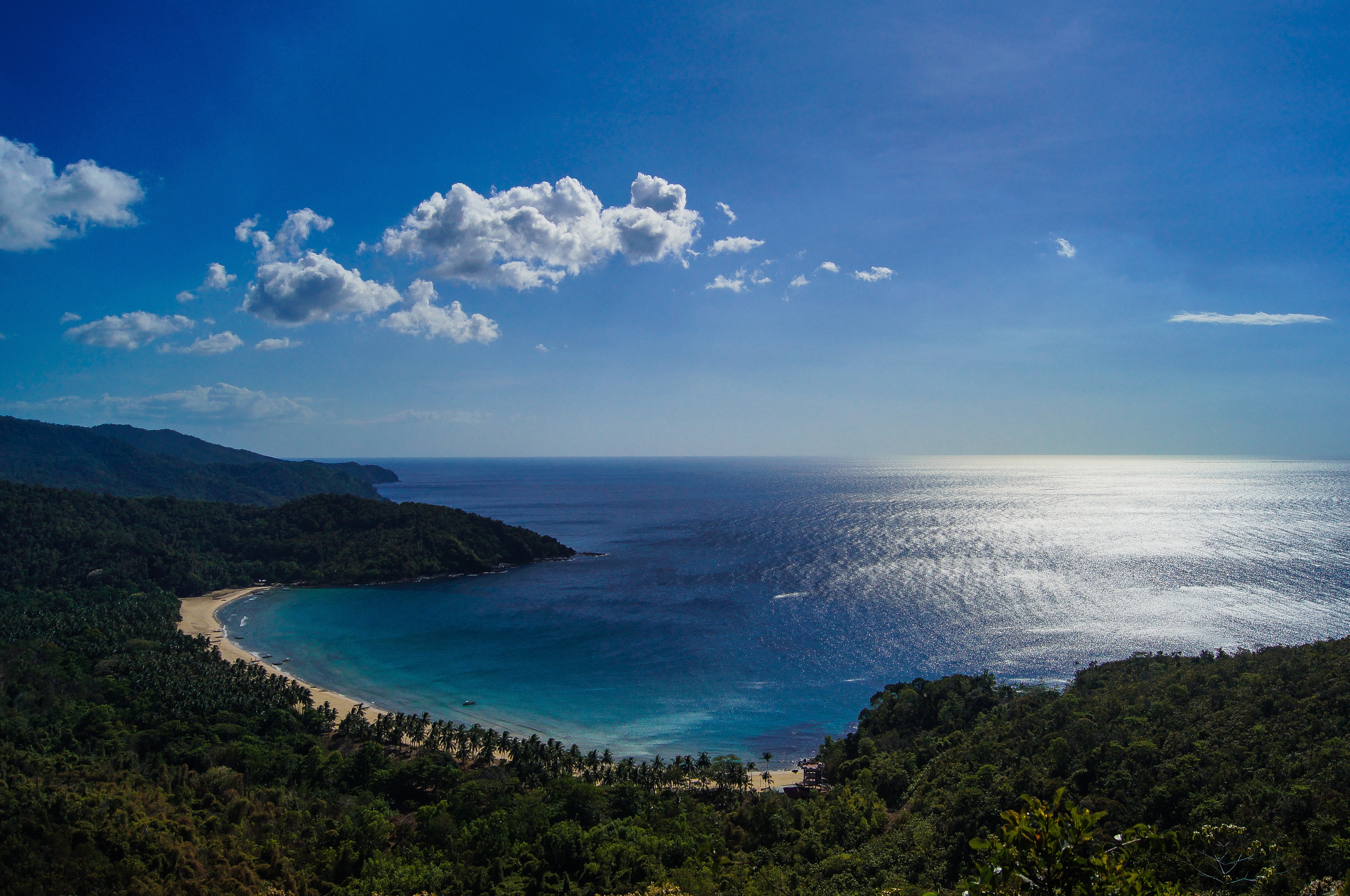 Free photo Sandy beach on the ocean surrounded by a forest