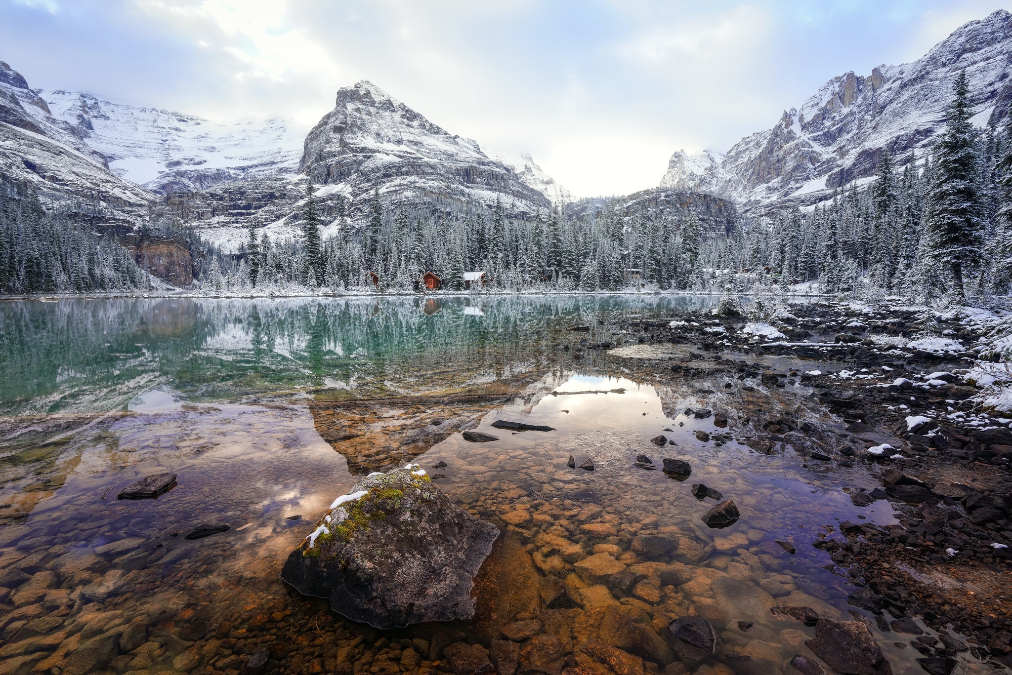 Free photo A lake amidst a frosty forest in Canada