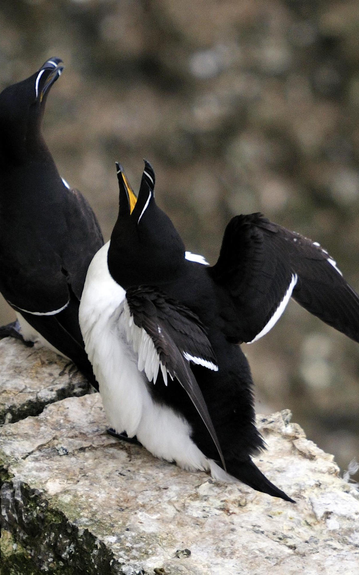 Попавшие на фото чудовища, которые поставили в тупик ученых - ЯПлакалъ