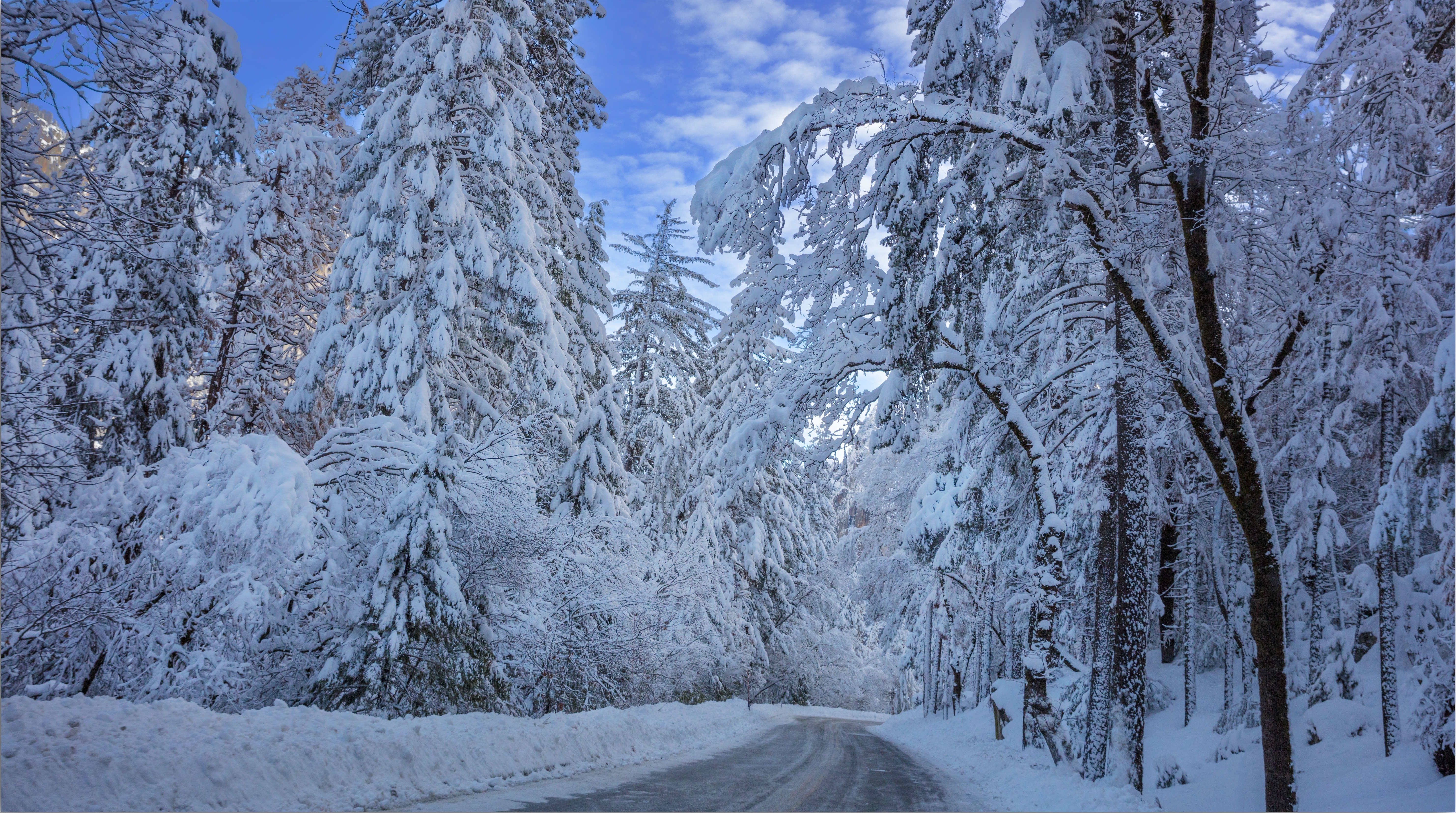 Free photo A fabulous winter road