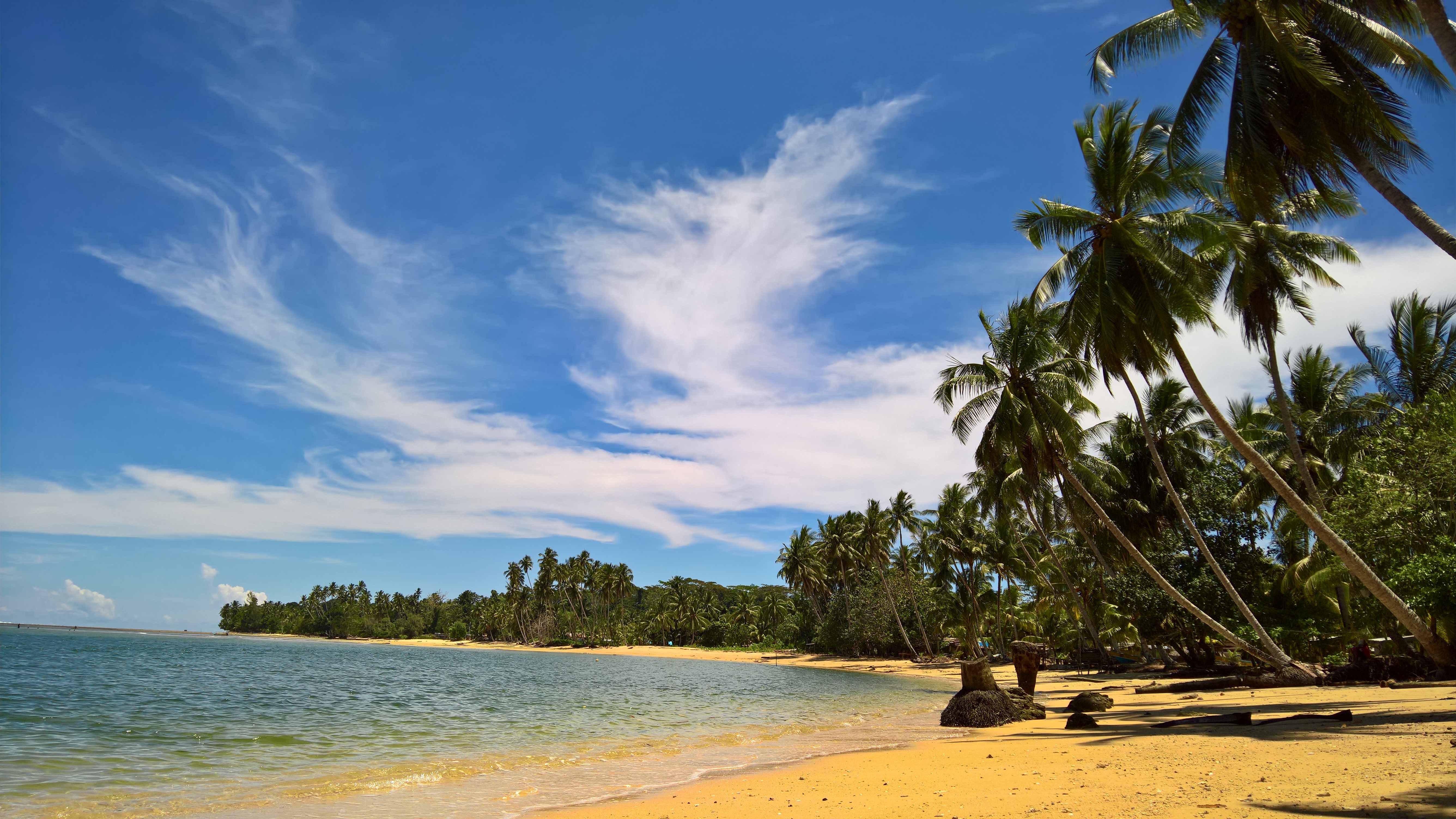 Free photo An island with yellow sand and palm trees