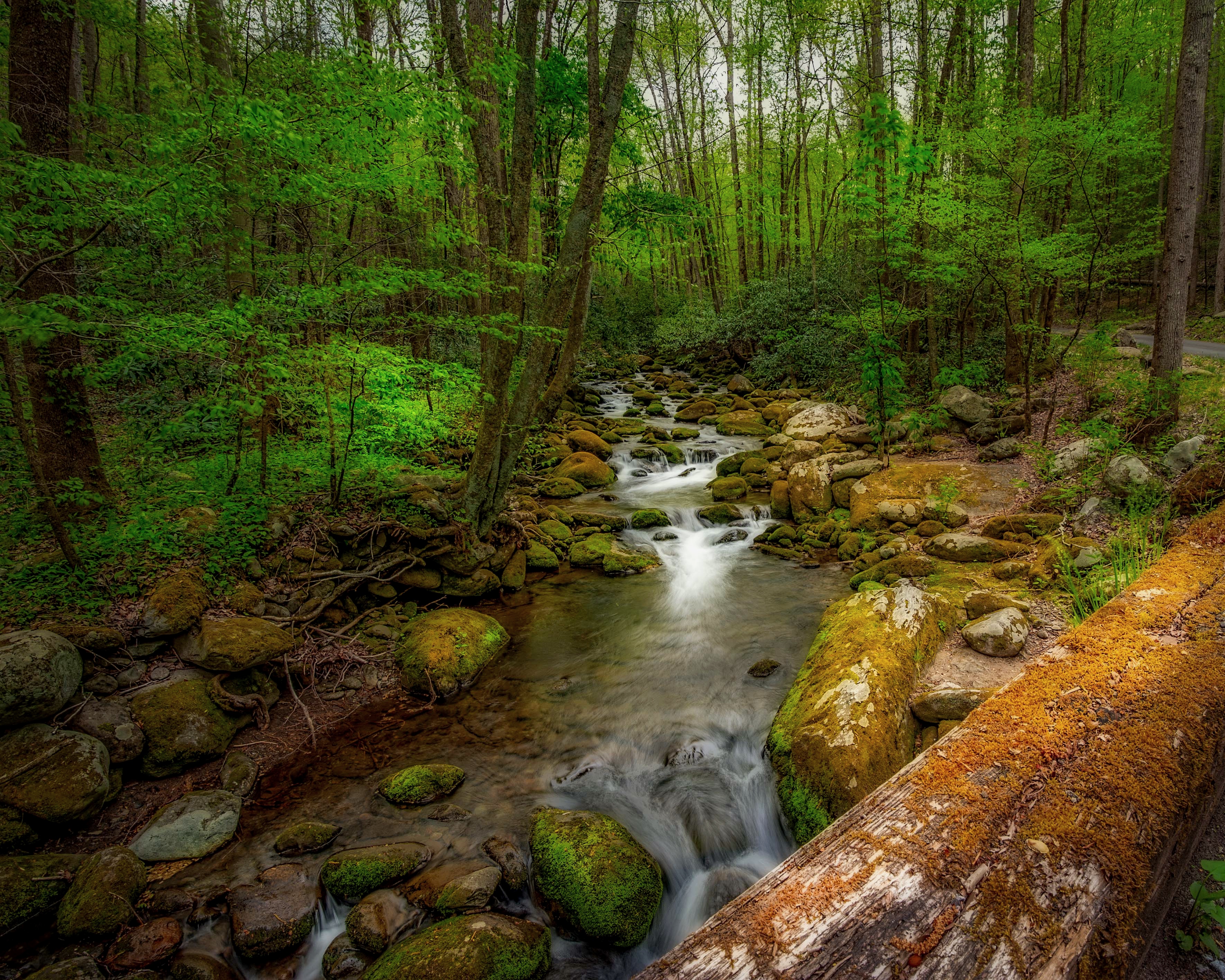 Wallpapers Great Smoky Mountains National Park stones moss on the desktop