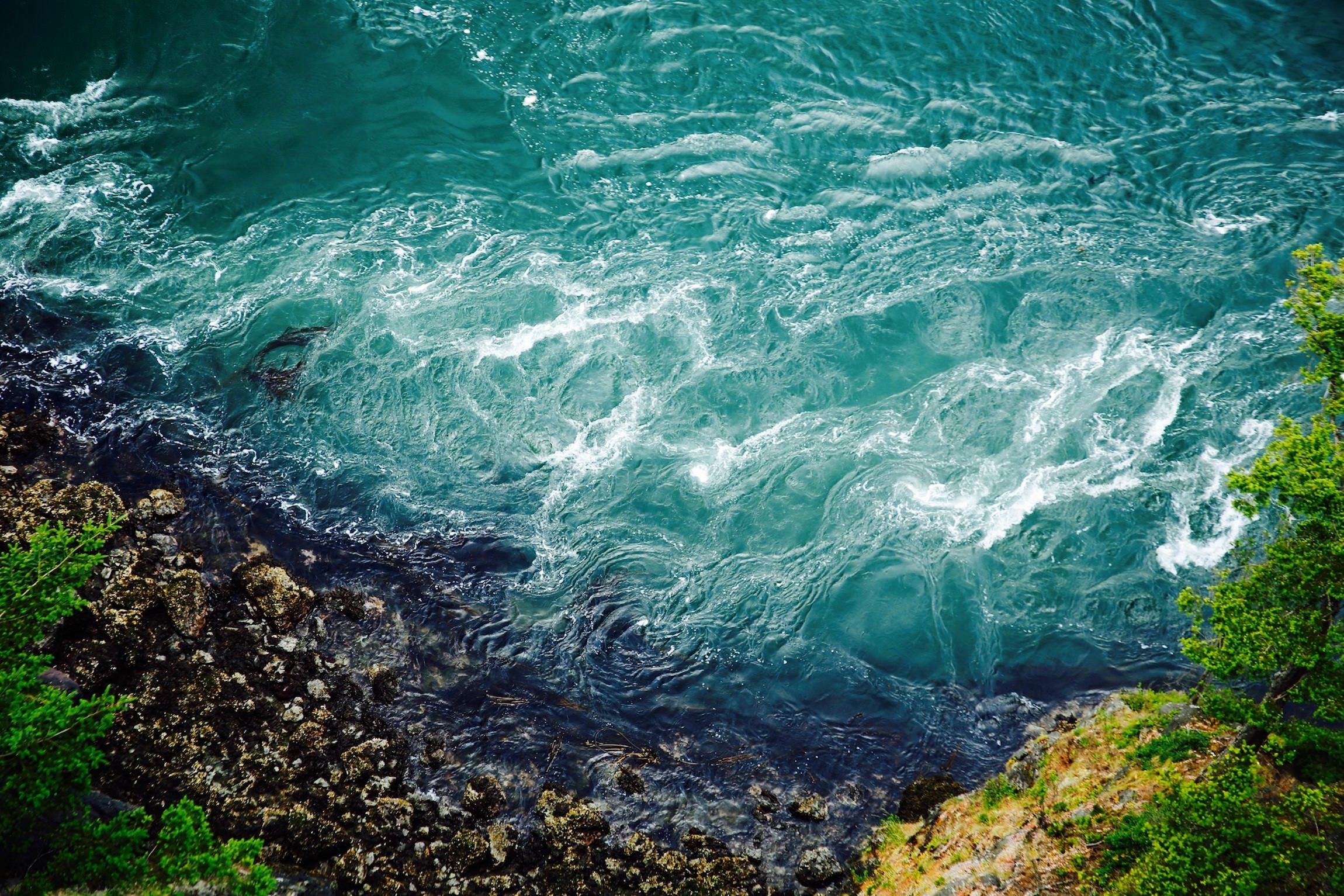 免费照片海边的浪花